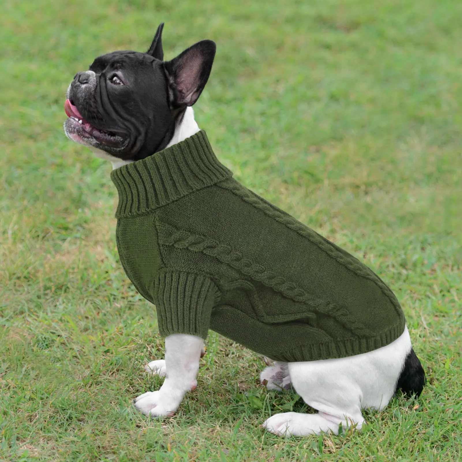 Queenmore Maglione per Cani a Treccia con Collo Alto, Army Green, XL - immagine 7