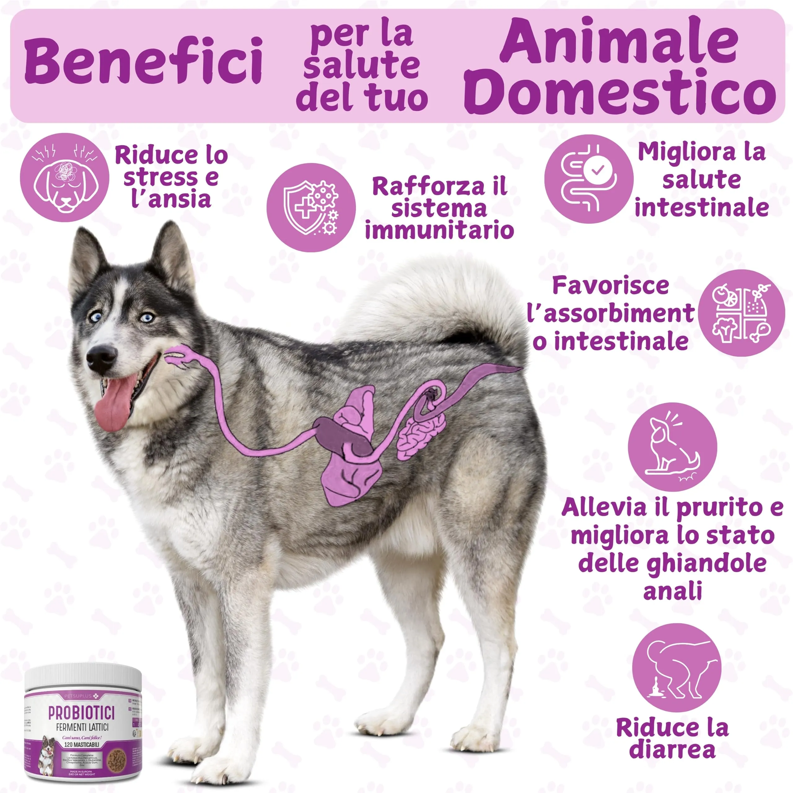 PETSUPLUS Probiotici per Cani - Fermenti Lattici - 120 masticabili - immagine 2
