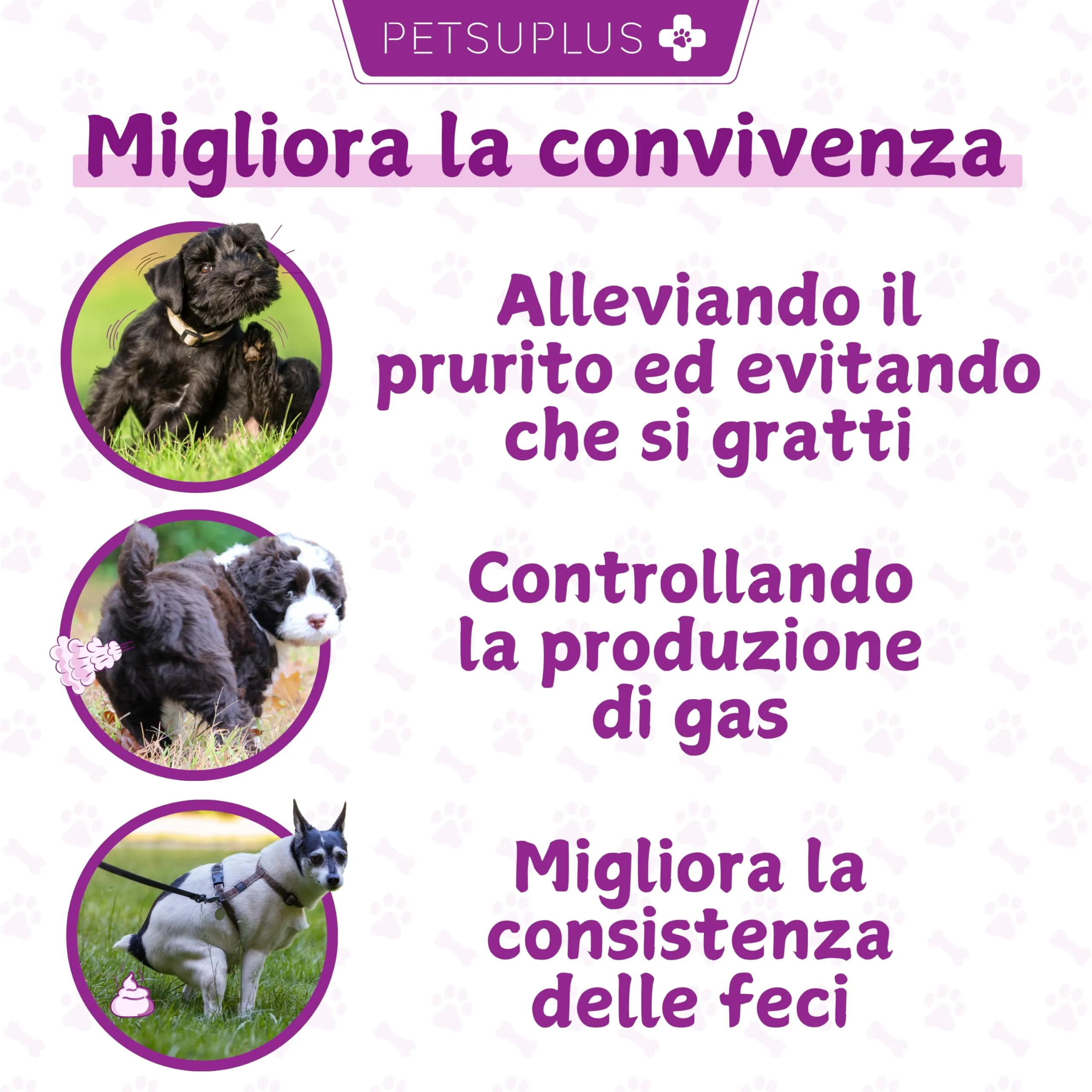 PETSUPLUS Probiotici per Cani - Fermenti Lattici - 120 masticabili - immagine 3