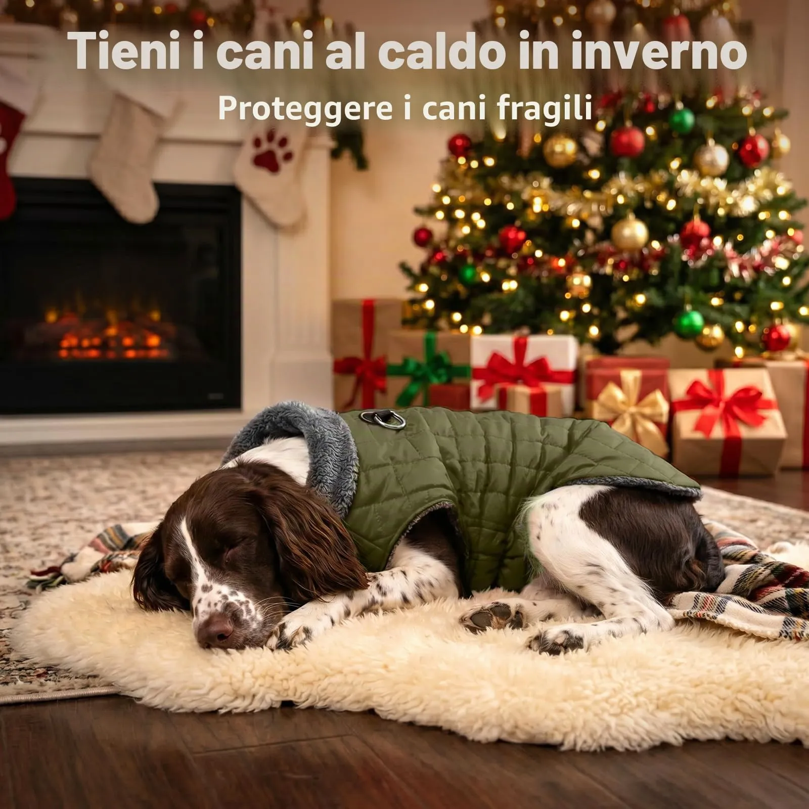 JoyDaog Cappottino in pile con imbracatura e anello a D, giacca impermeabile invernale per cani di piccola taglia, verde, M - immagine 9