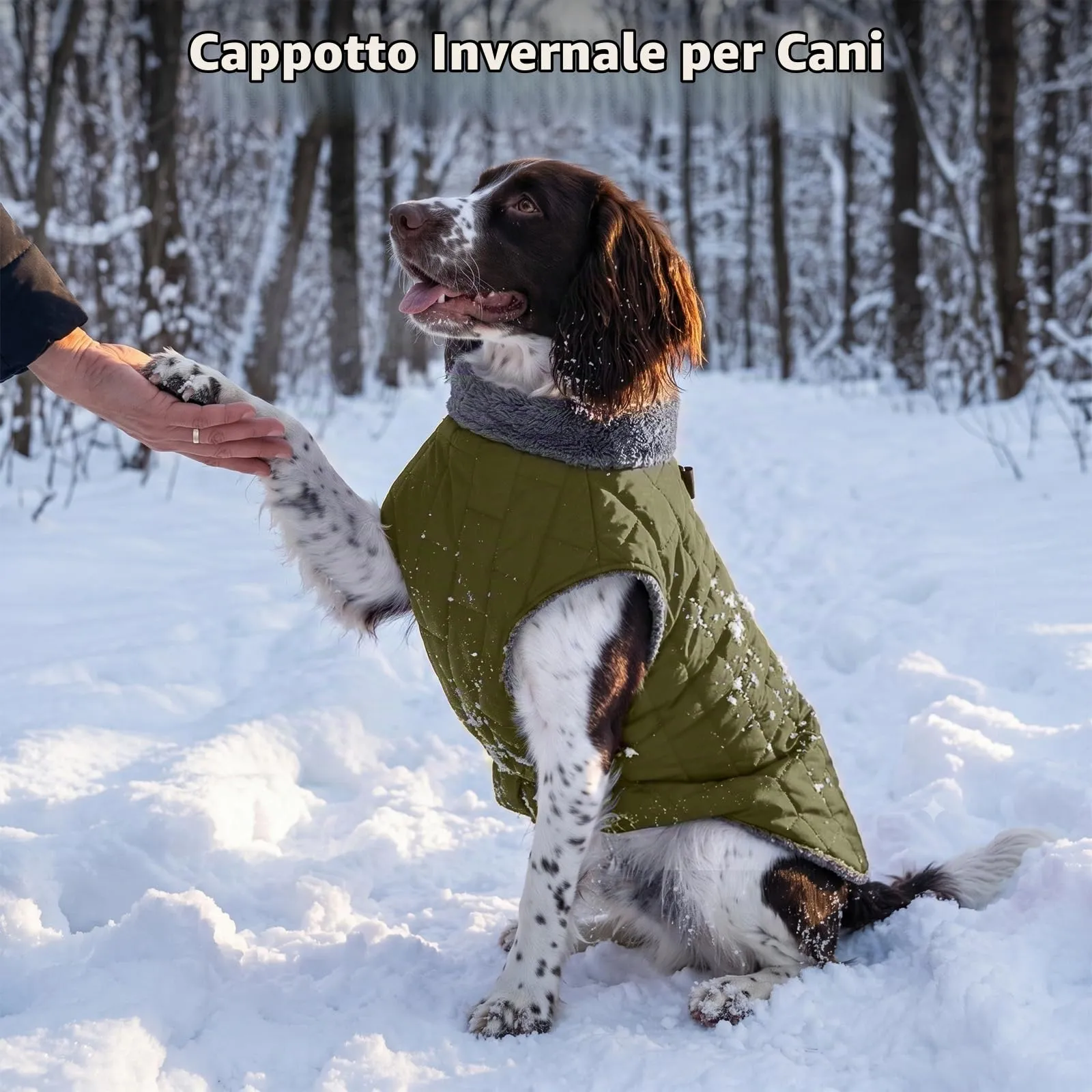 JoyDaog Cappottino in pile impermeabile per cani con imbracatura e anelli a D, verde, XL - immagine 2