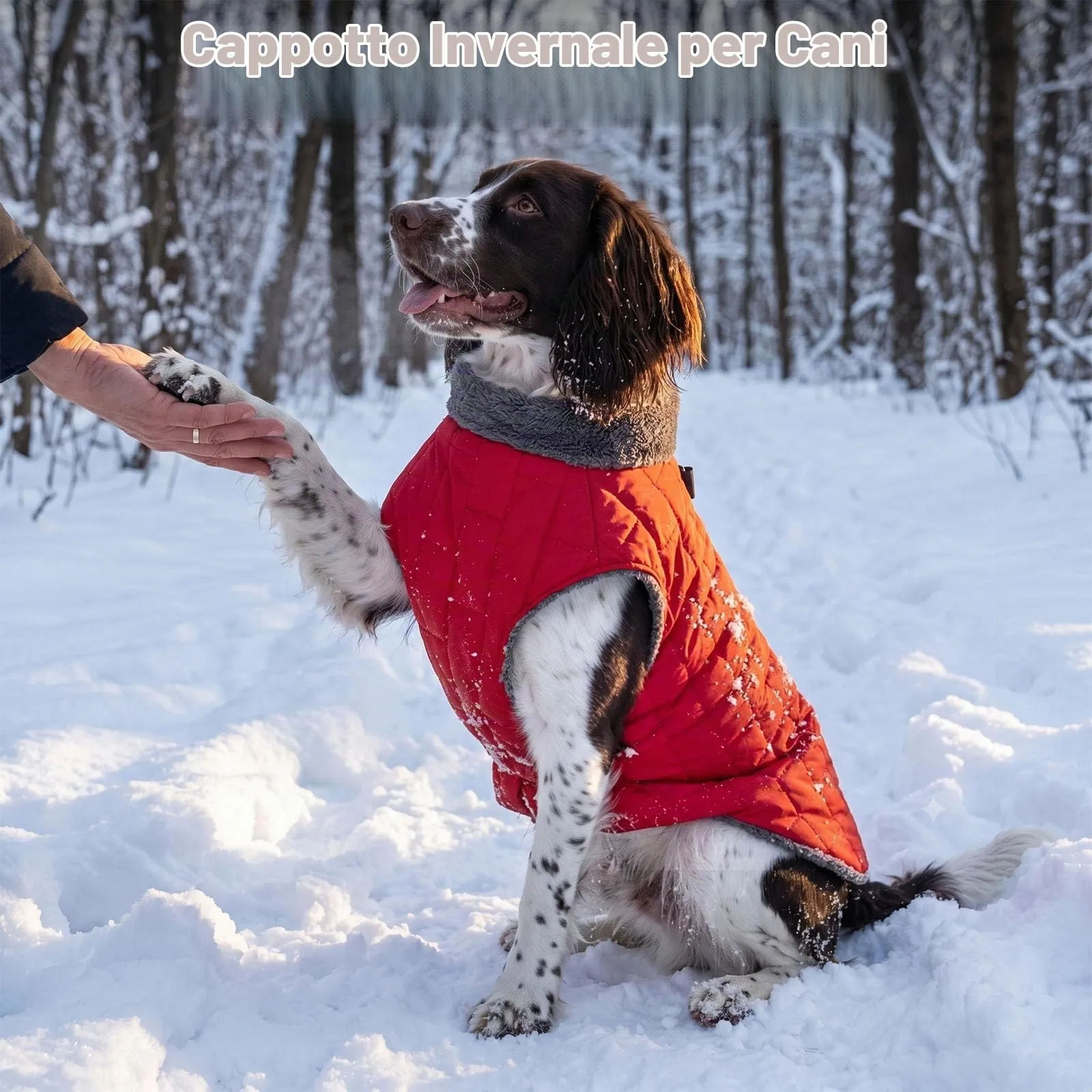 JoyDaog Cappottino in pile con imbracatura e anello a D, giacca impermeabile invernale per cani di media taglia, rosso, L - immagine 2
