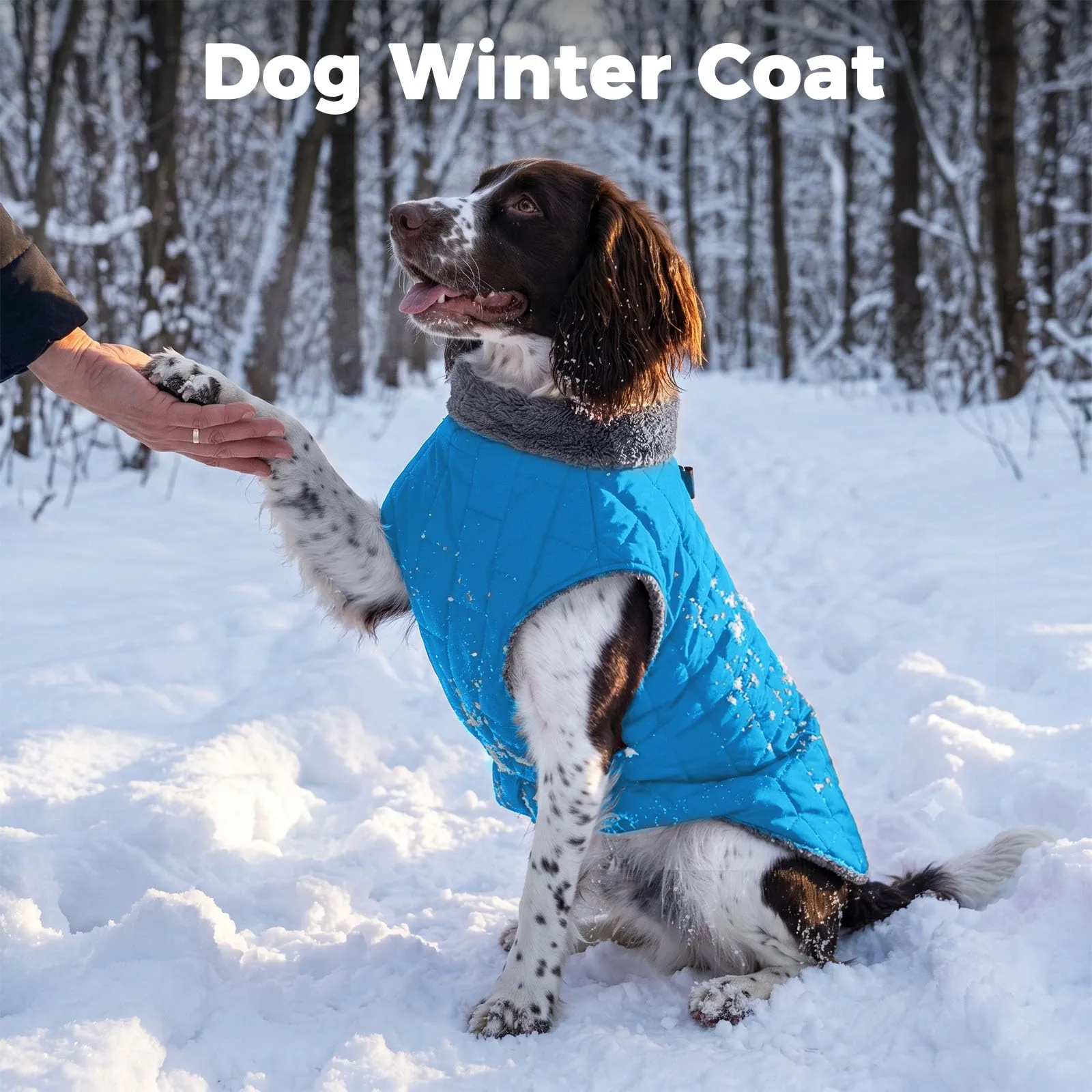 JoyDaog Cappottino in pile impermeabile per cani con imbracatura e anello a D, celeste, L - immagine 2