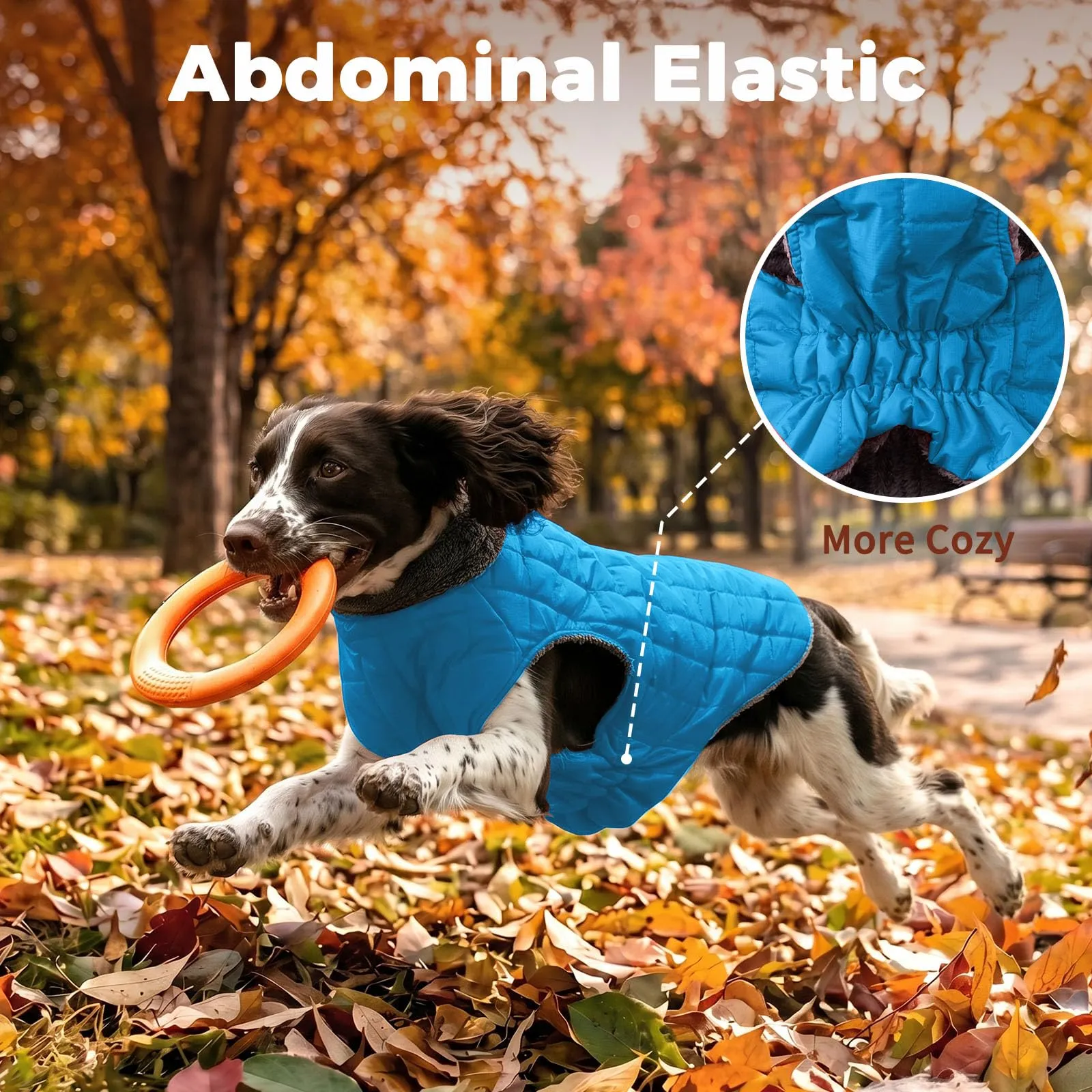 JoyDaog Cappottino in pile impermeabile per cani con imbracatura e anello a D, celeste, L - immagine 7