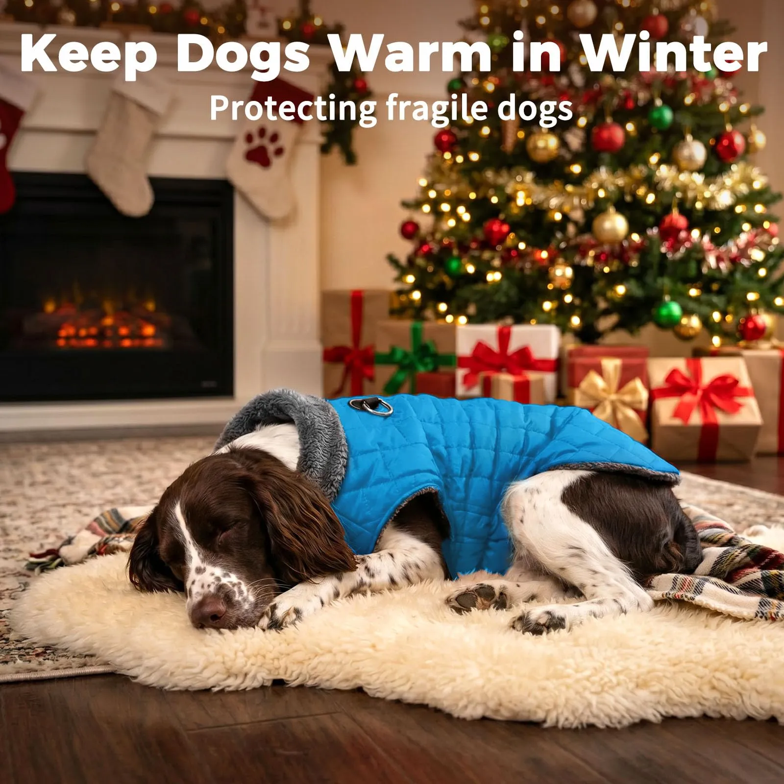 JoyDaog Cappottino in pile con imbracatura e anello a D, giacca impermeabile invernale per cani di piccola taglia, azzurro, XS - immagine 9