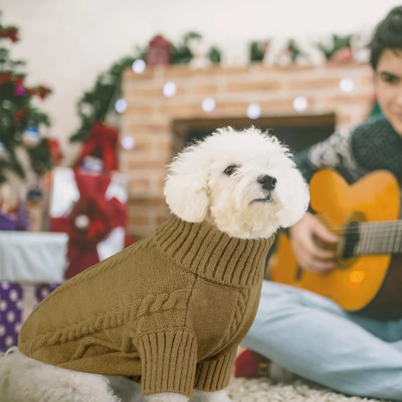 Queenmore Maglione per Cani, Marrone, 3XL - immagine 7
