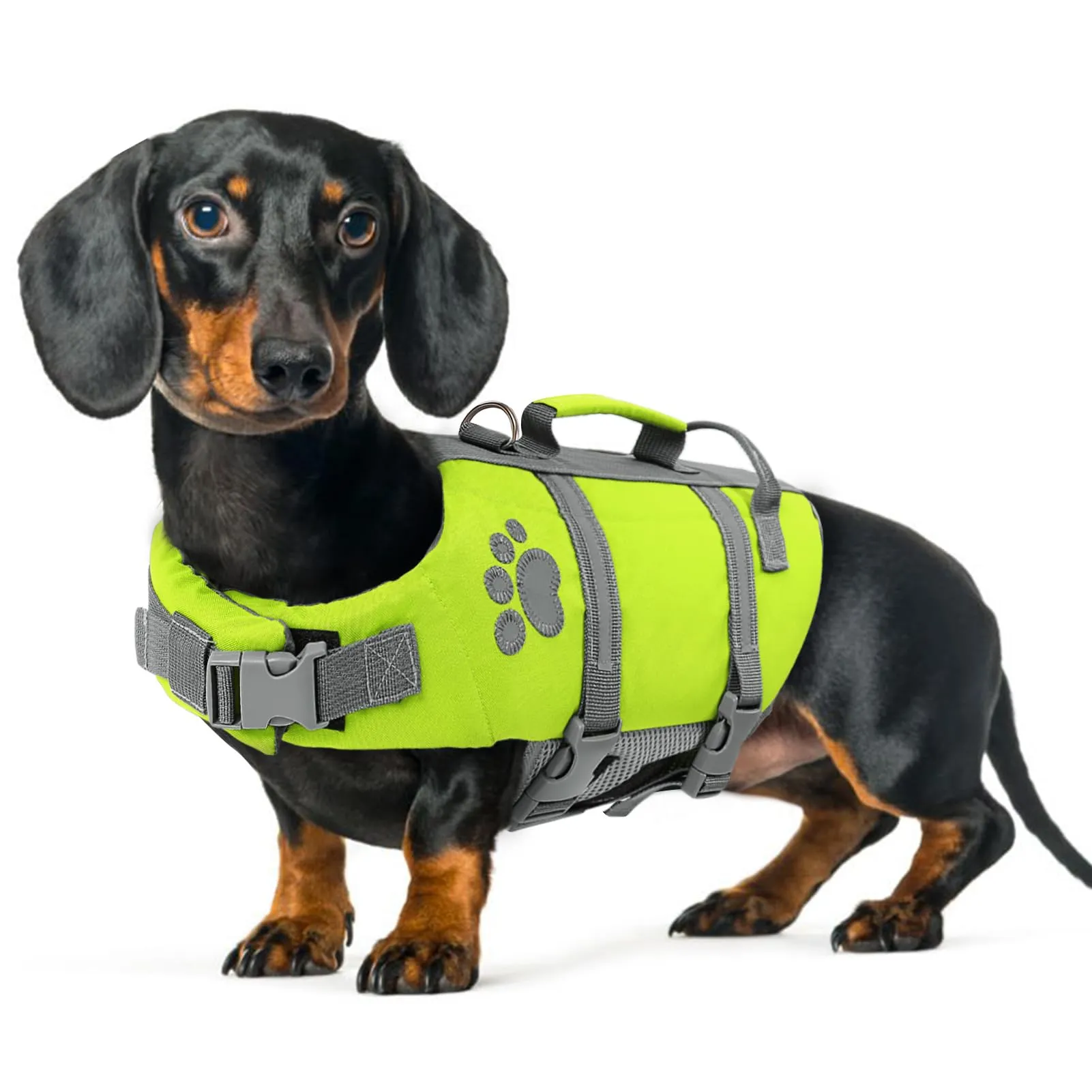 Queenmore Salvagente per Cani Taglia Media, Riflettente, Verde (M) - immagine 1