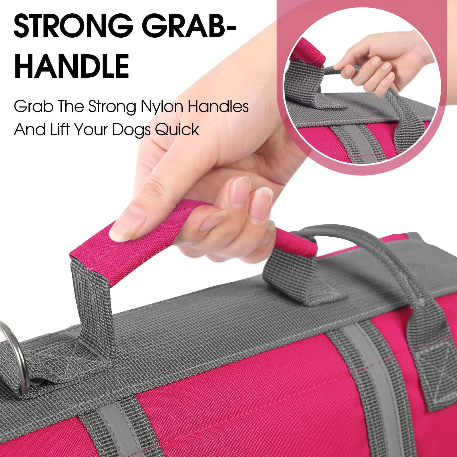 Queenmore Salvagente per Cani Grandi, XL, Fucsia - immagine 5