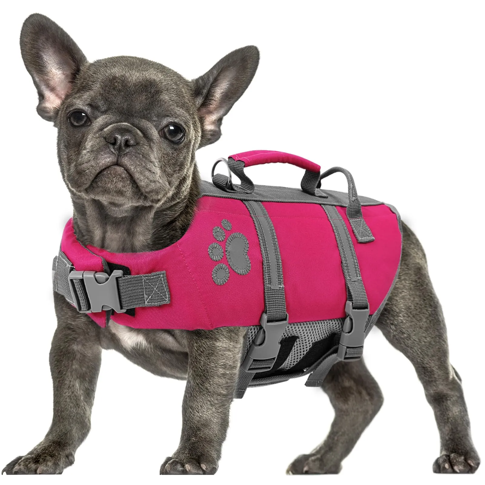 Queenmore Salvagente per Cani Taglia L, Fucsia - immagine 1
