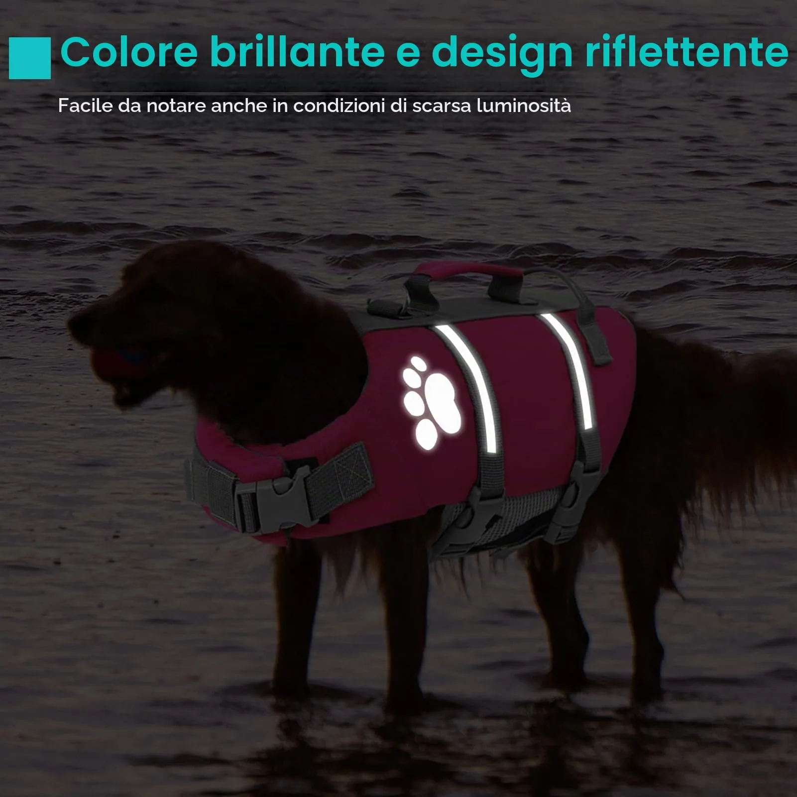 Queenmore Salvagente per Cani Taglia L, Fucsia - immagine 4