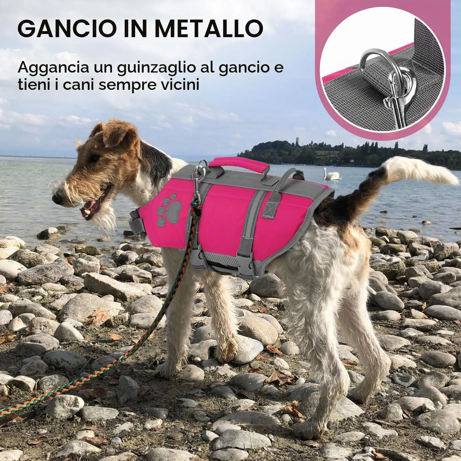 Queenmore Giubbotto Salvagente per Cani Grandi, Riflettente, Fucsia, 2XL - immagine 5