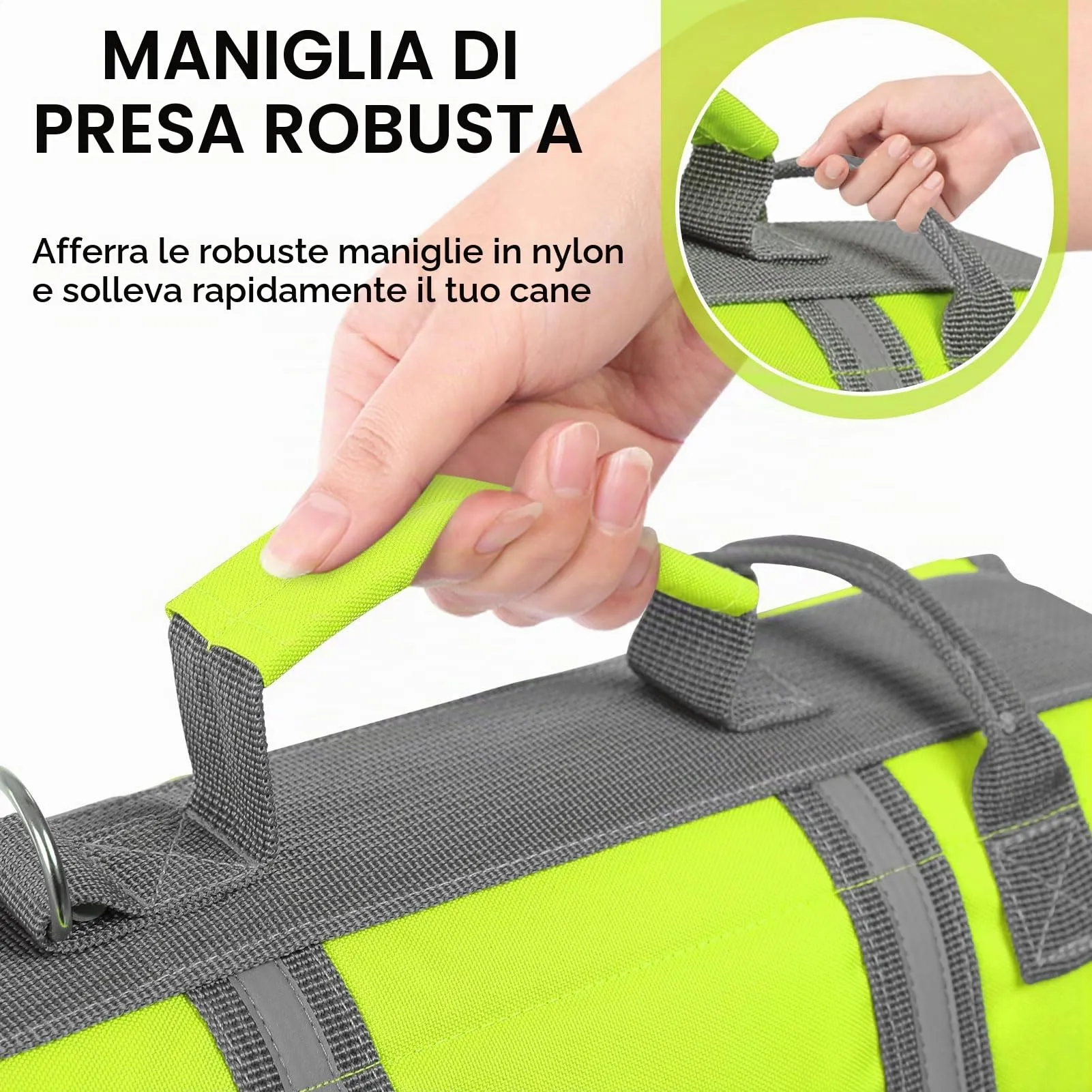 Queenmore Salvagente per Cani Grandi, Riflettente e Regolabile, XL, Verde - immagine 5