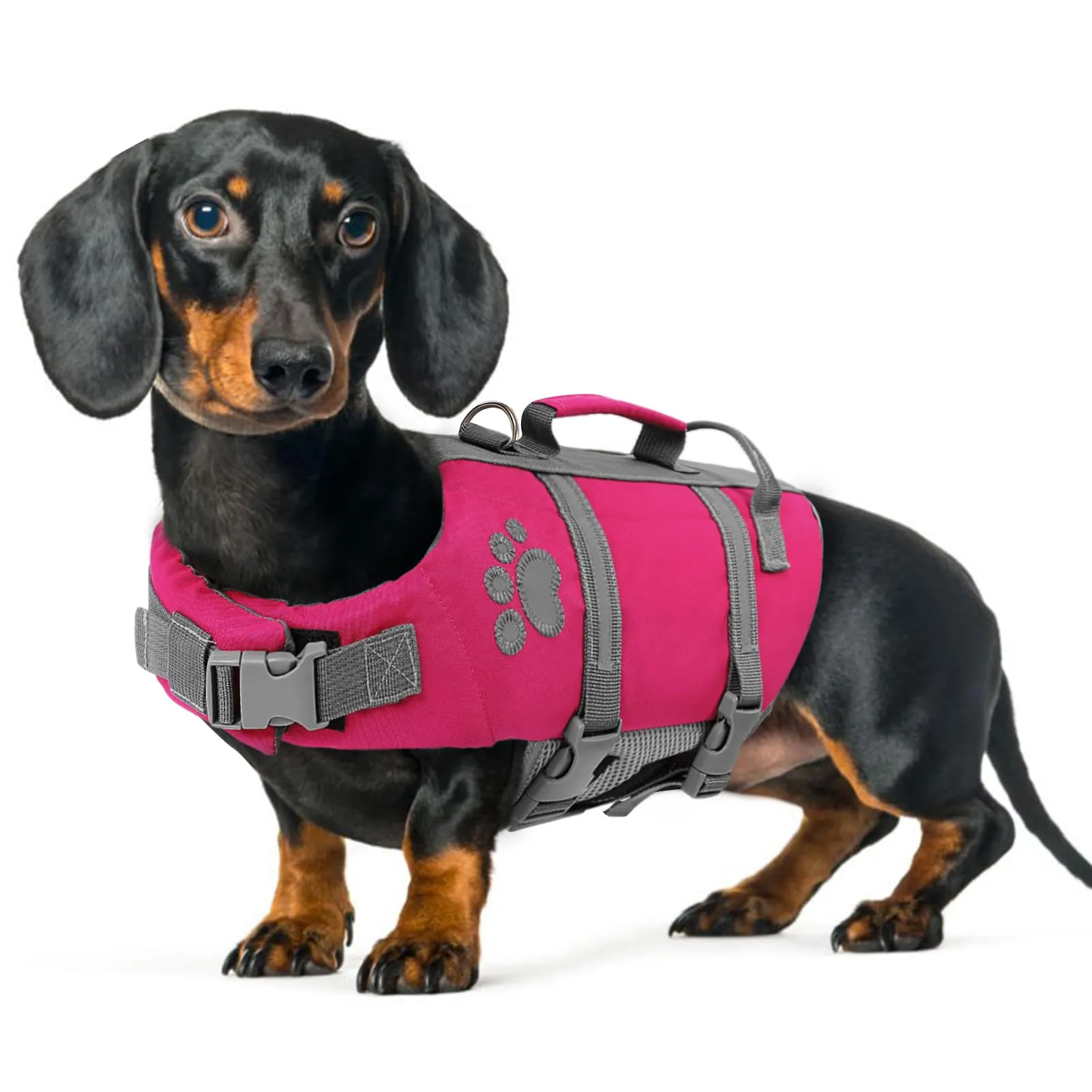 Queenmore Salvagente per Cani Taglia Media, Riflettente, Fucsia (M) - immagine 1