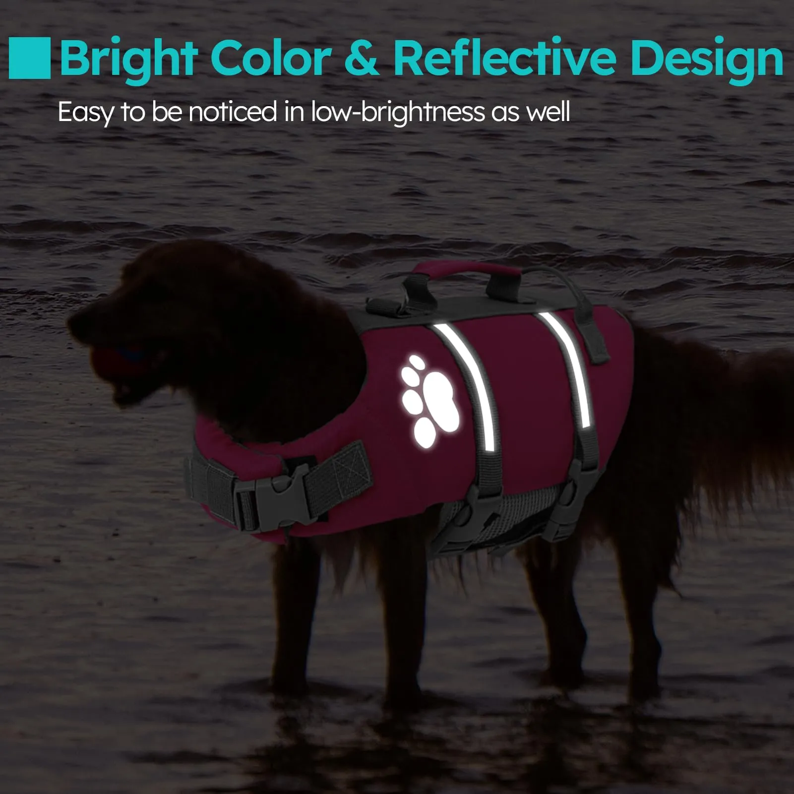 Queenmore Salvagente per Cani Taglia Media, Riflettente, Fucsia (M) - immagine 4