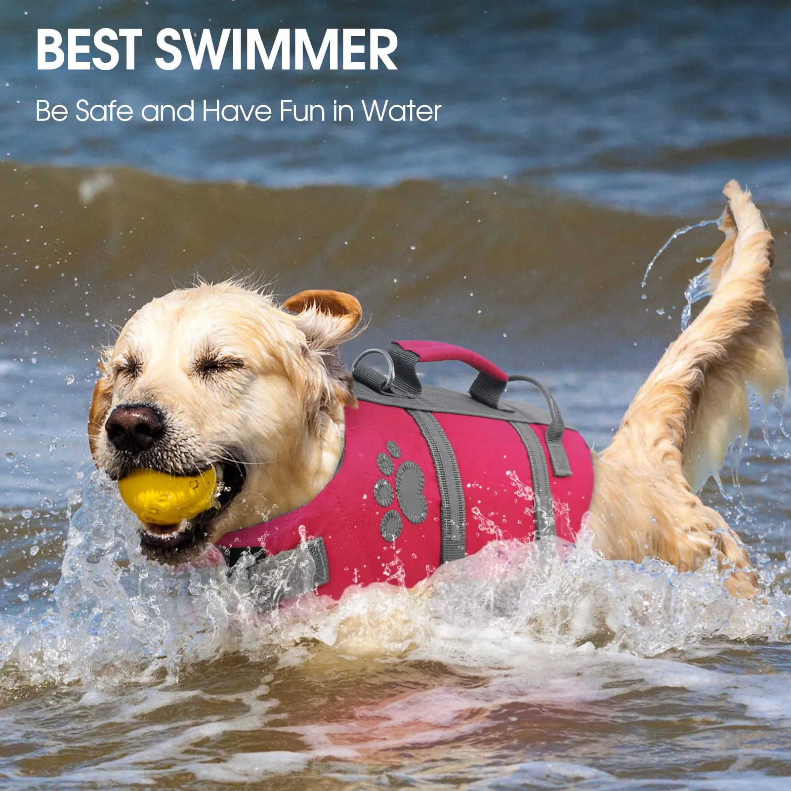 Queenmore Salvagente per Cani Taglia Media, Riflettente, Fucsia (M) - immagine 6