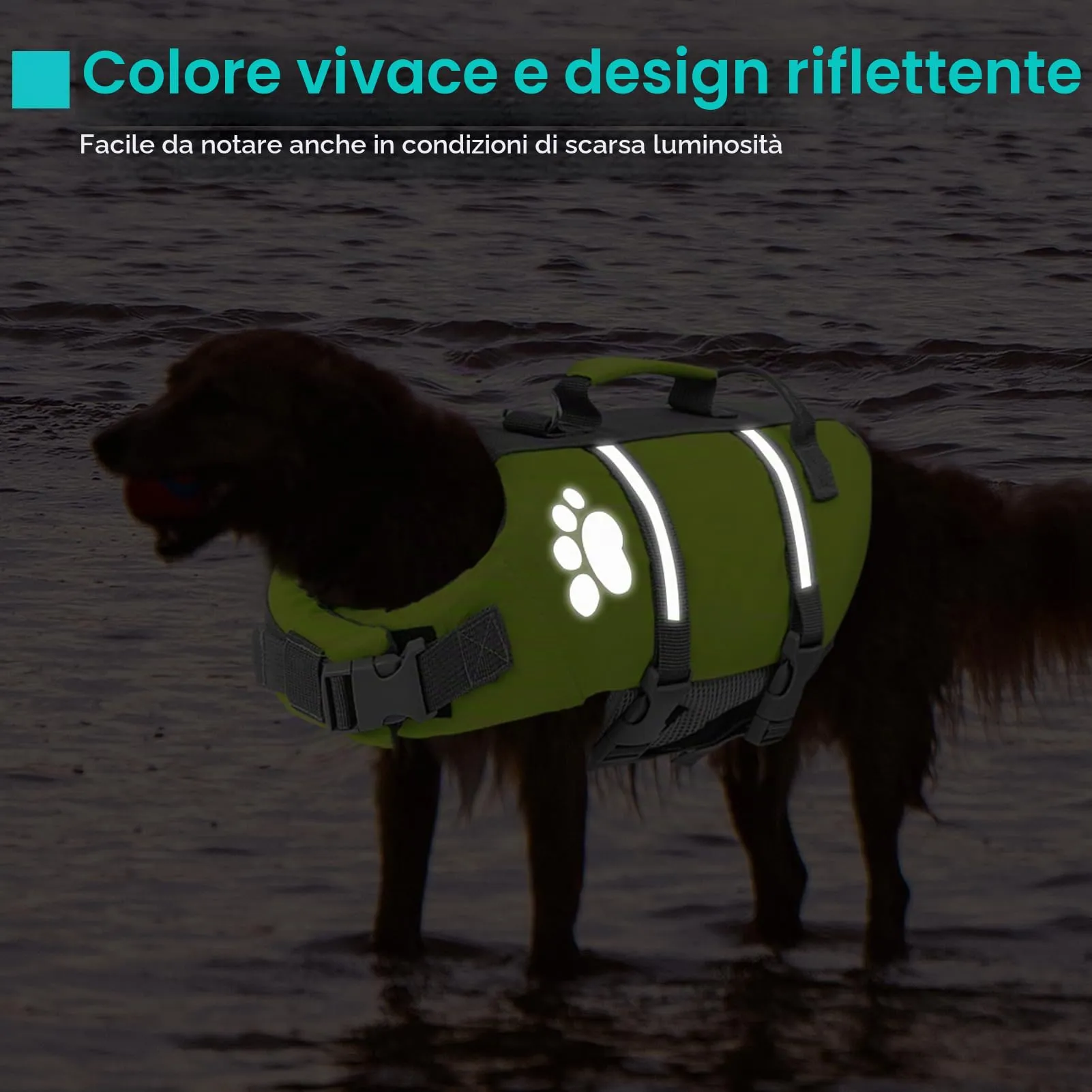 Queenmore Salvagente per Cani Grandi con Maniglia di Salvataggio, Verde, L - immagine 4