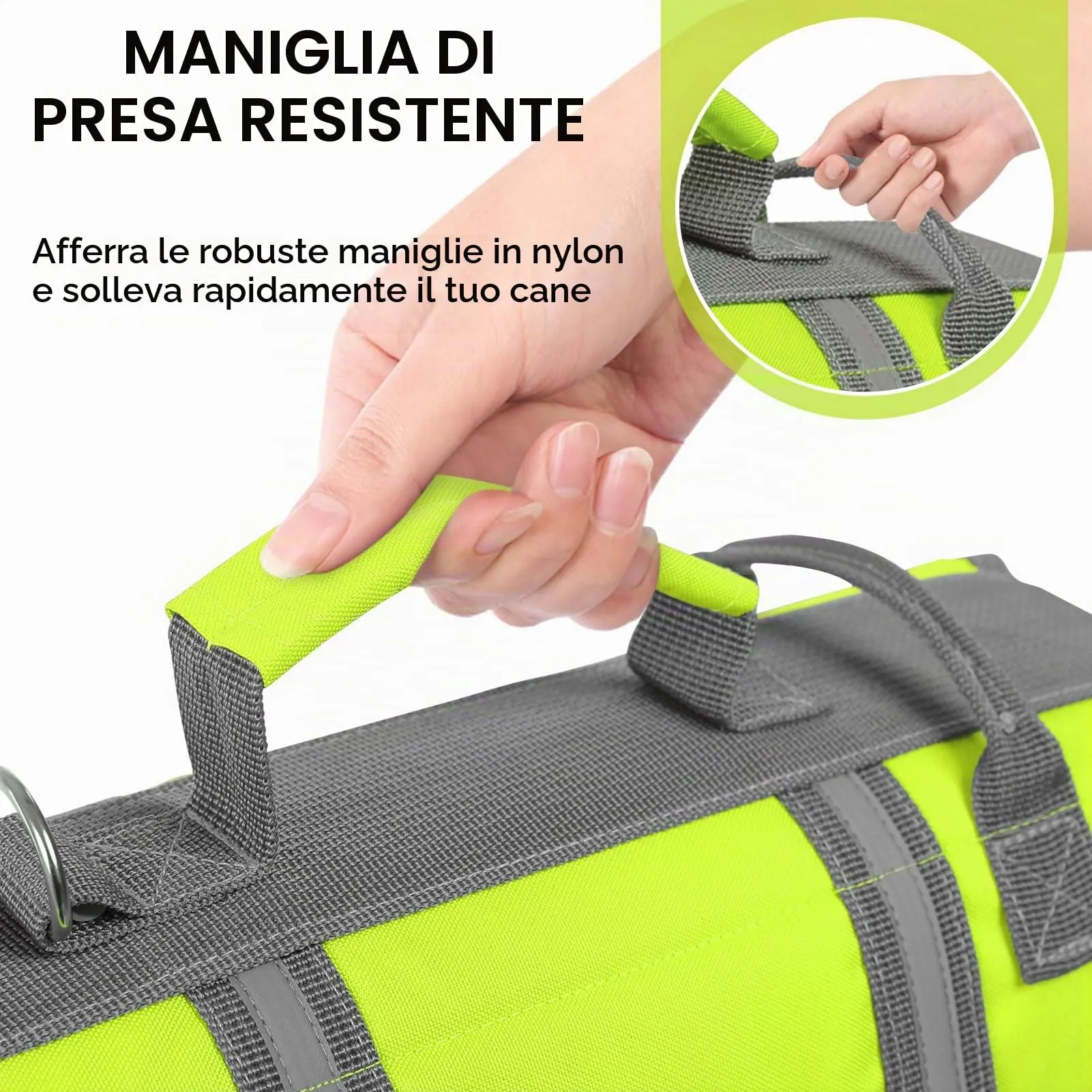 Queenmore Salvagente per Cani Grandi con Maniglia di Salvataggio, Verde, L - immagine 5