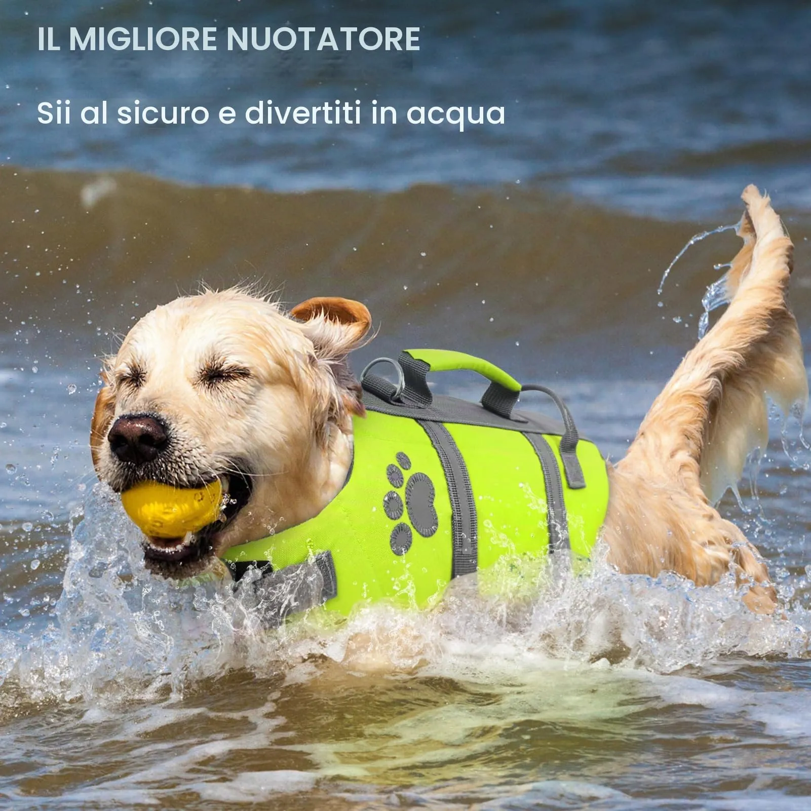 Queenmore Salvagente per Cani Grandi con Maniglia di Salvataggio, Verde, L - immagine 6