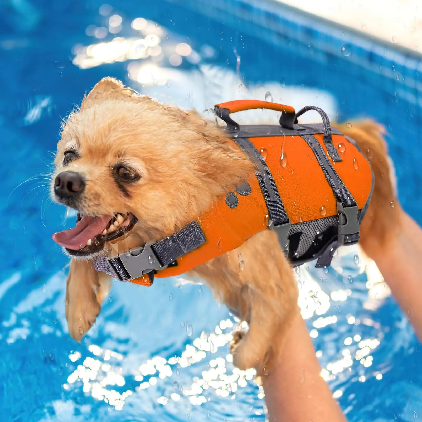 Queenmore Salvagente per Cani Grandi con Maniglia di Salvataggio, L, Arancione - immagine 7