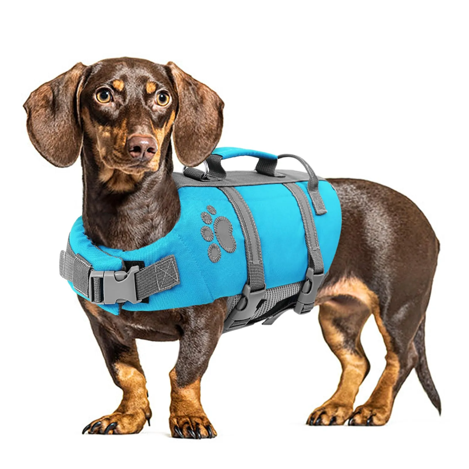 Queenmore Salvagente per Cani Taglia Media, Riflettente, Blu, M - immagine 1