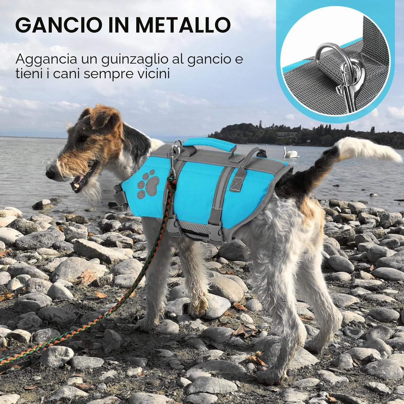 Queenmore Salvagente per Cani Taglia Media, Riflettente, Blu, M - immagine 6
