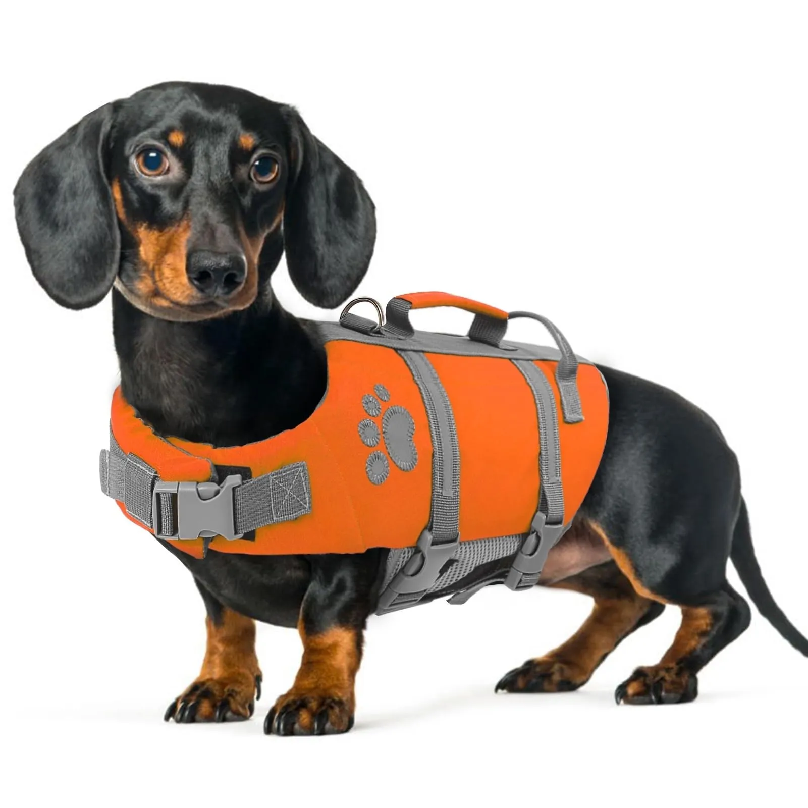 Queenmore Salvagente per Cani Piccoli, Riflettente, Regolabile (S, Arancione) - immagine 1