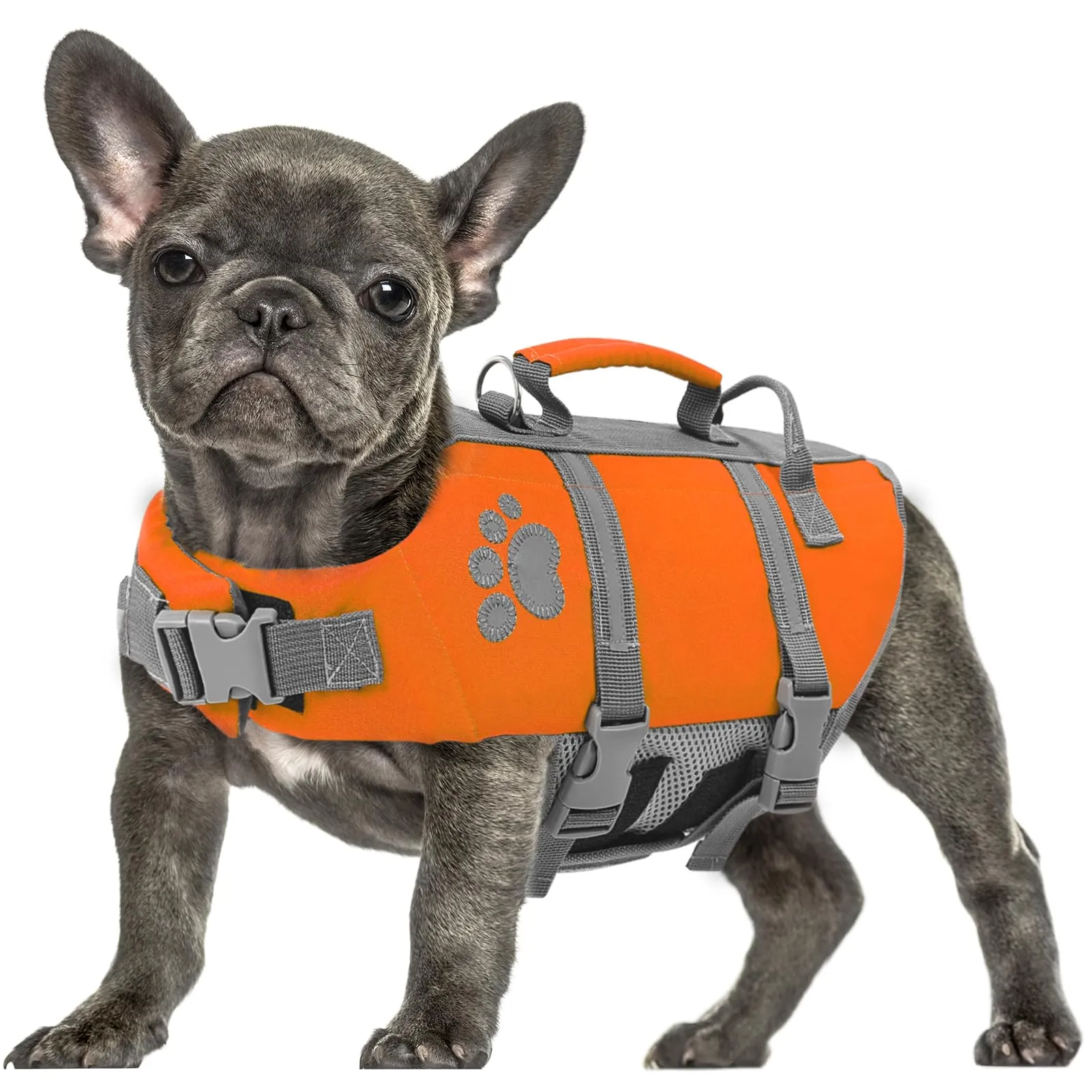 Queenmore Salvagente per Cani Grandi, XL, Arancione - immagine 1