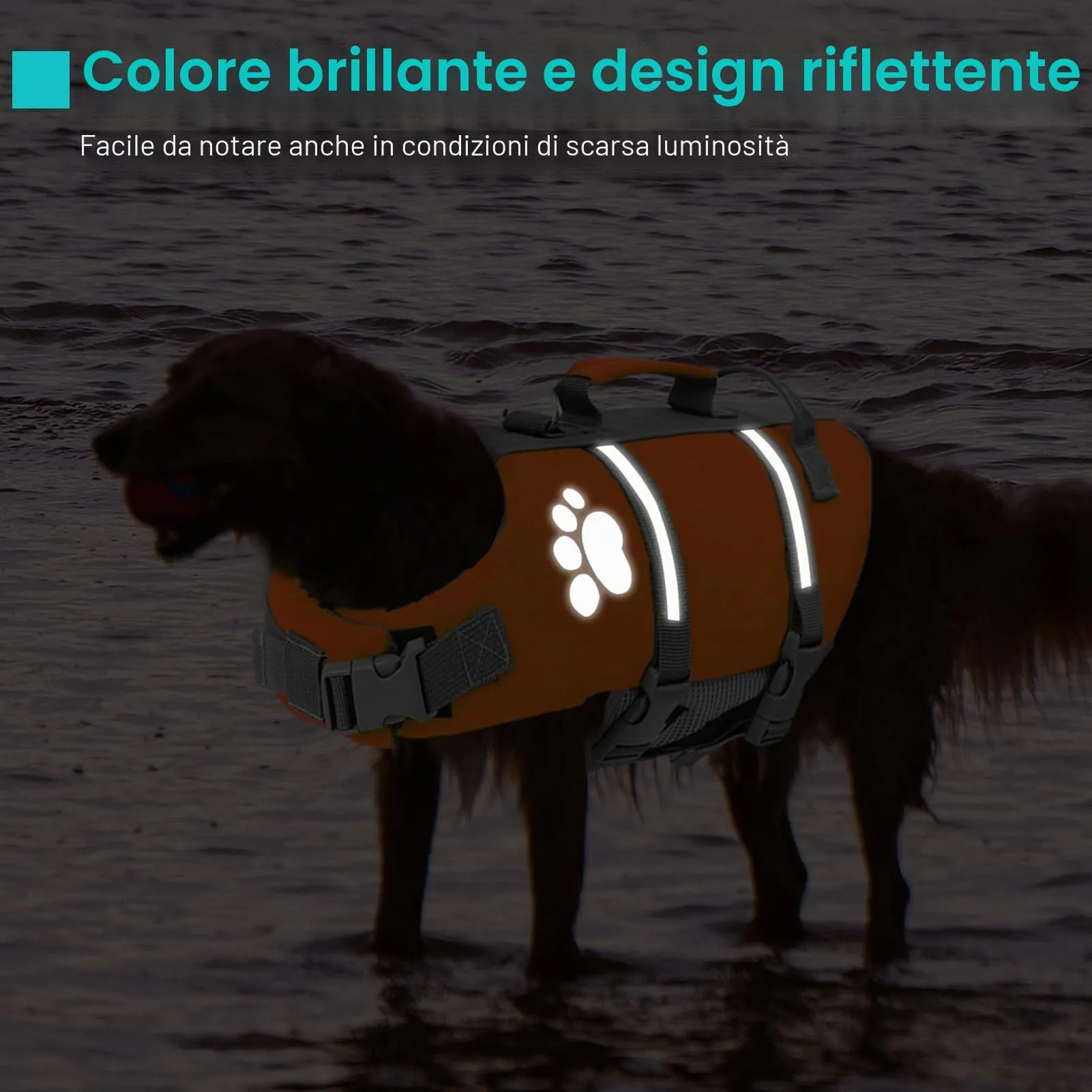 Queenmore Salvagente per Cani Grandi, XL, Arancione - immagine 4