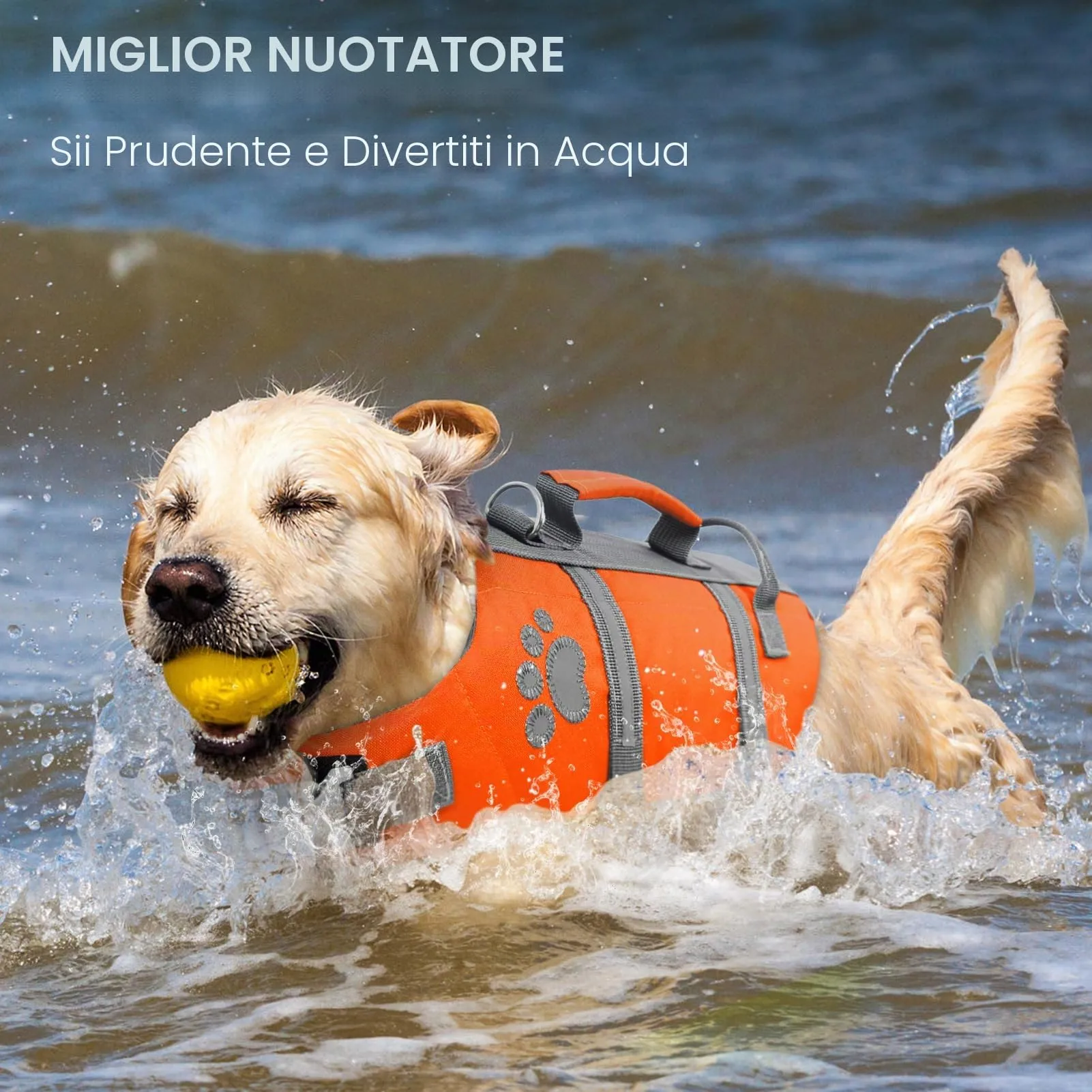 Queenmore Salvagente per Cani Grandi, XL, Arancione - immagine 6