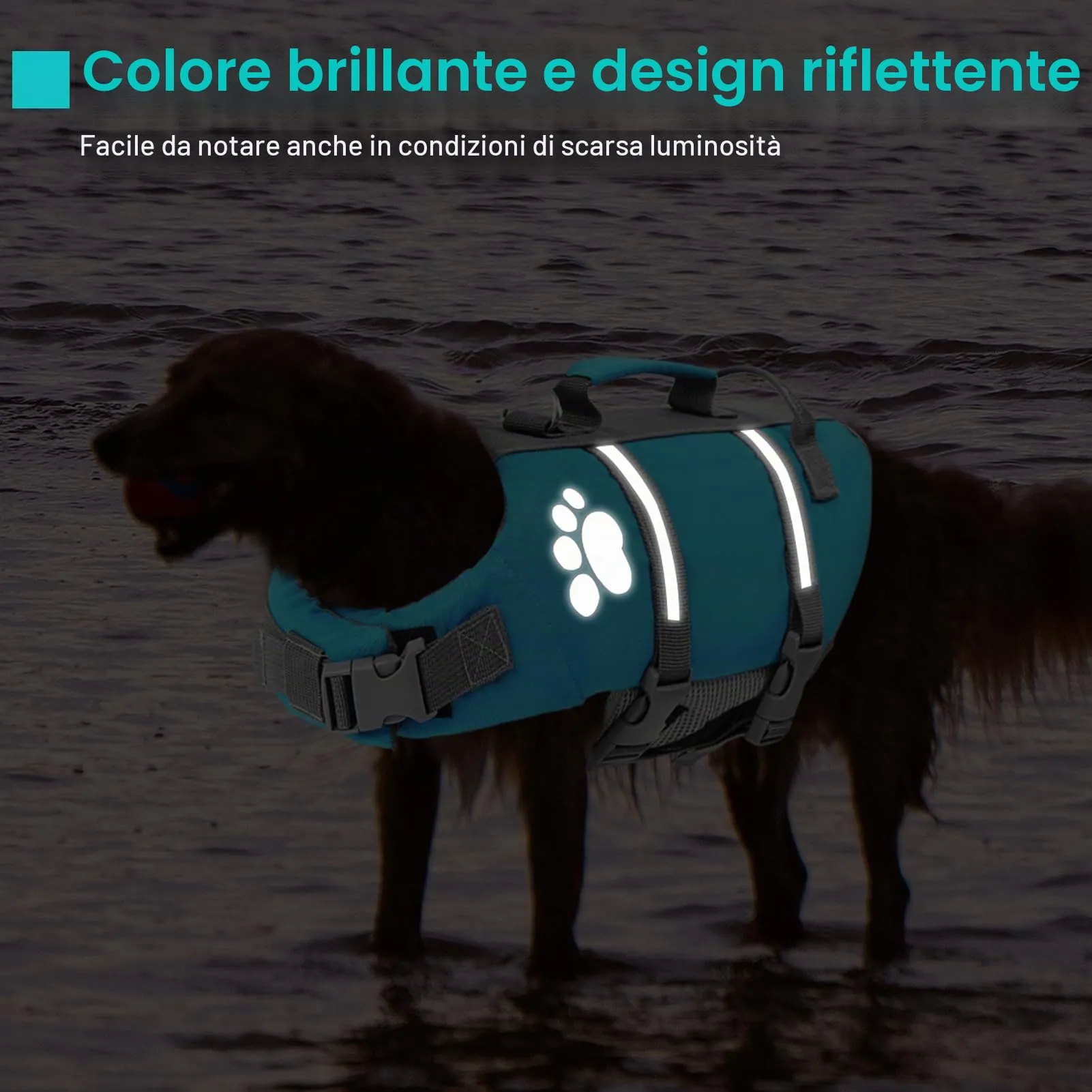 Queenmore Giubbotto Salvagente per Cani Grandi, Riflettente e Regolabile, Blu, XL - immagine 4