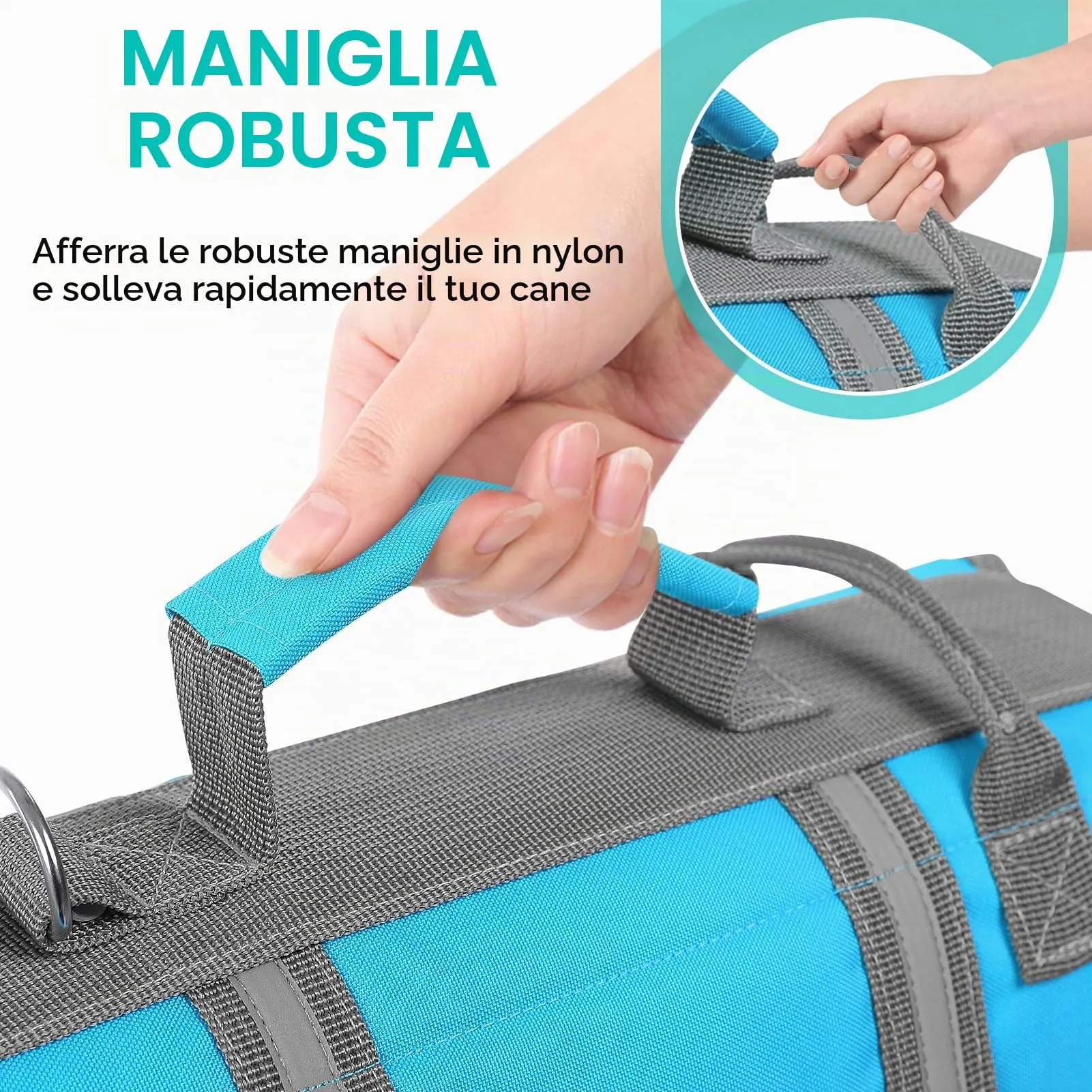 Queenmore Giubbotto Salvagente per Cani Grandi, Riflettente e Regolabile, Blu, XL - immagine 5