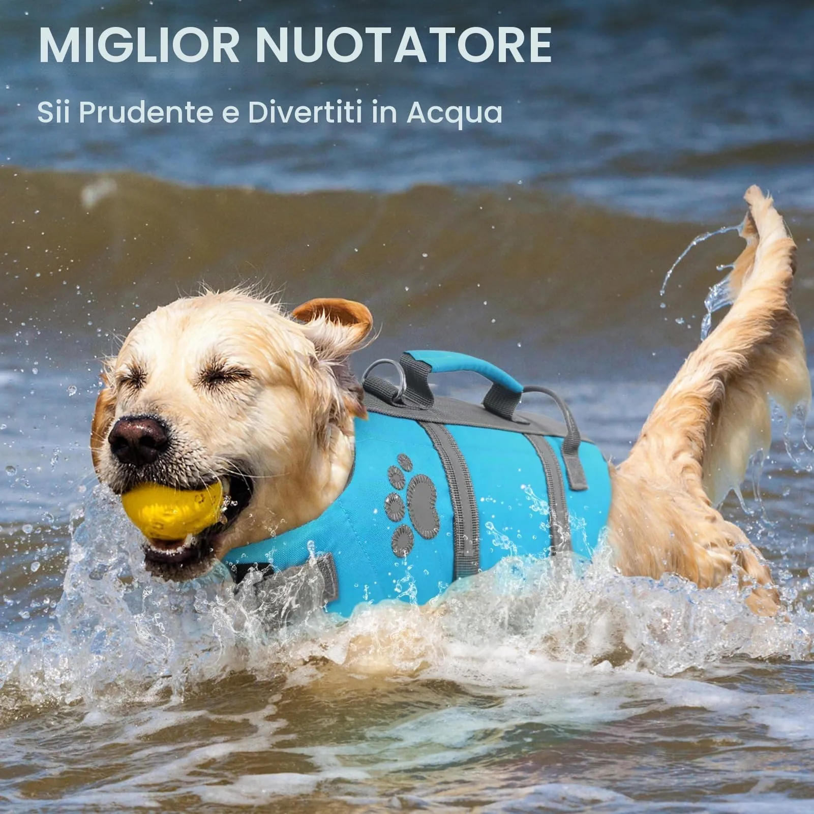 Queenmore Giubbotto Salvagente per Cani Grandi, Riflettente e Regolabile, Blu, XL - immagine 6