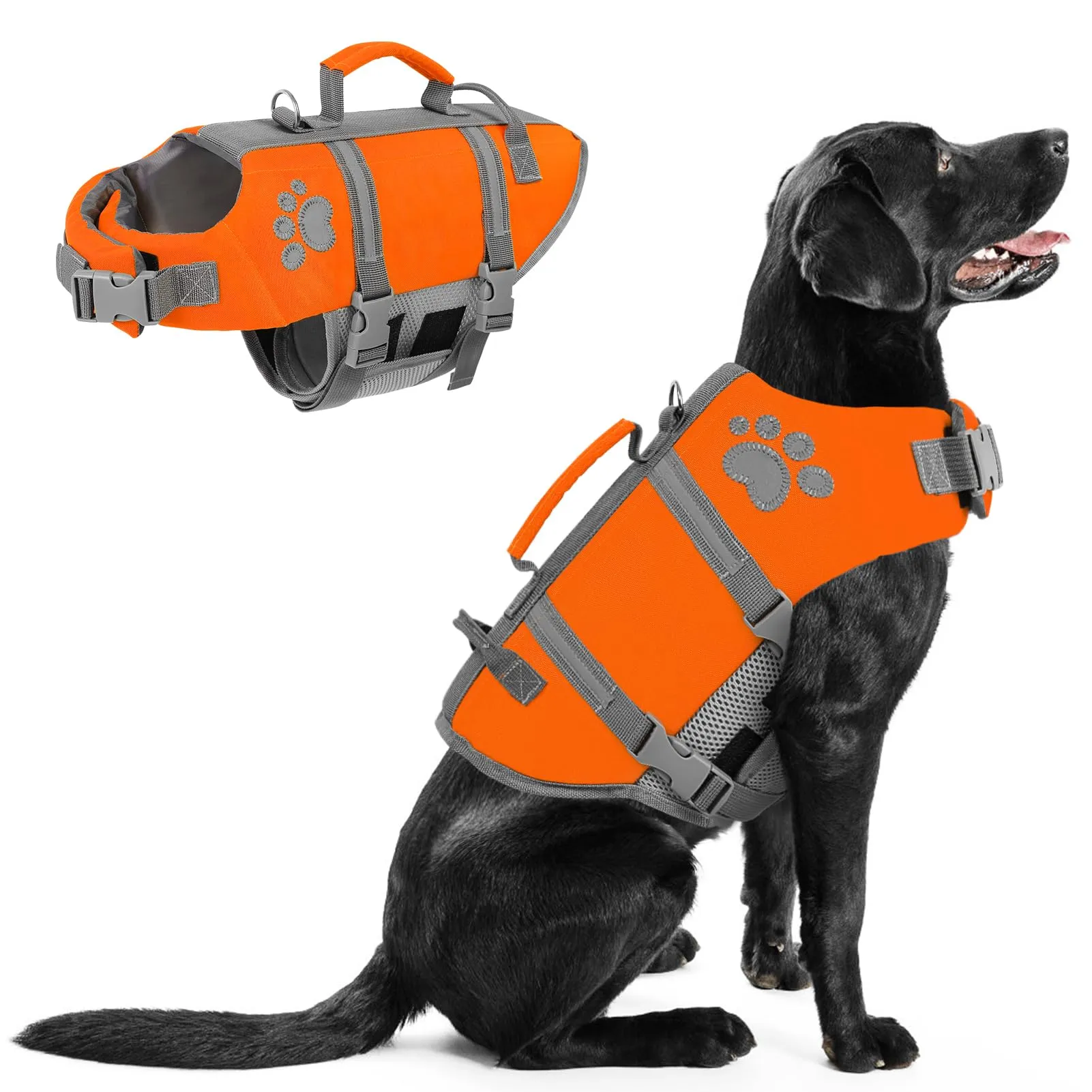 Queenmore Giubbotto Salvagente per Cani Grandi, Riflettente e Regolabile, Arancione, 2XL - immagine 1