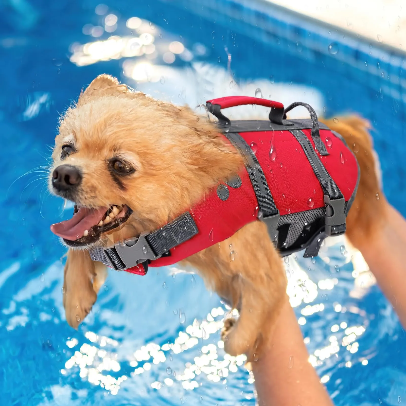 Queenmore Salvagente per Cani Grandi, XL, Rosso - immagine 7