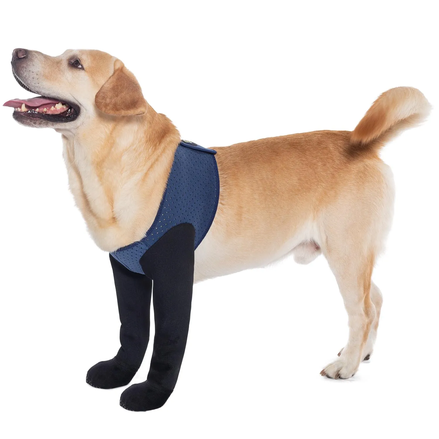 COODEO Calzini Anti-licking per Zampe di Cane, Protettori Antiscivolo Impermeabili per Protezione Post-Operatoria (Blu, L) - immagine 1
