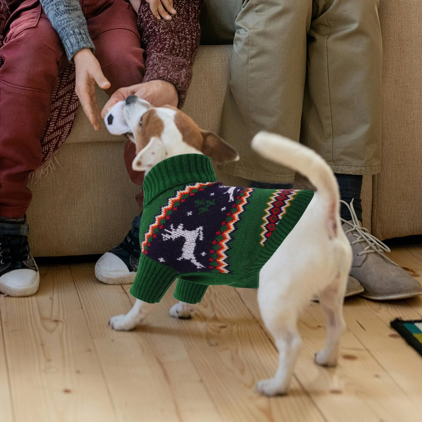 Queenmore Maglione di Natale per Cane Bassotto Caldo Elastico Collo Alto, XL - immagine 6