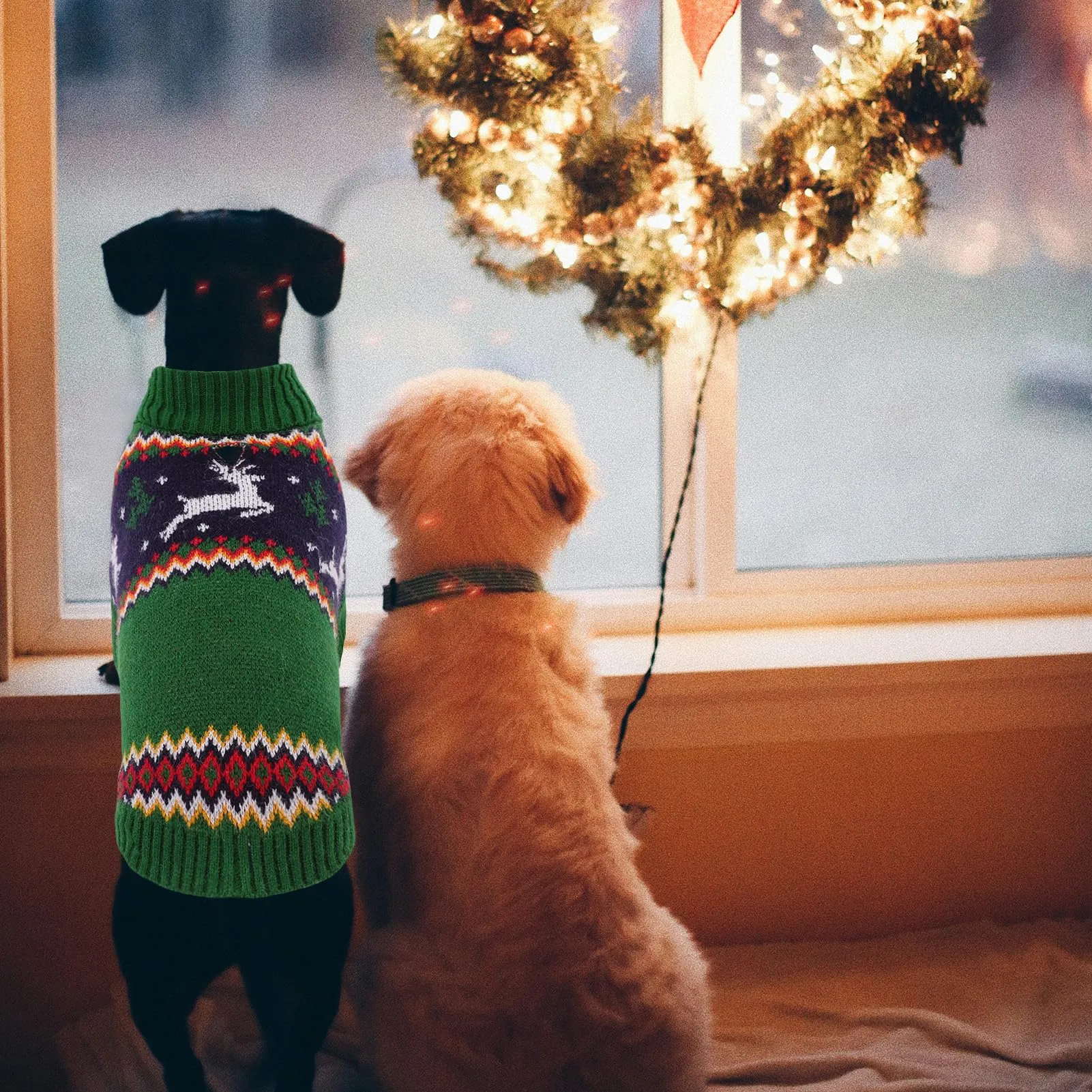 Queenmore Maglione di Natale per Cane Bassotto Caldo Elastico Collo Alto, XL - immagine 7