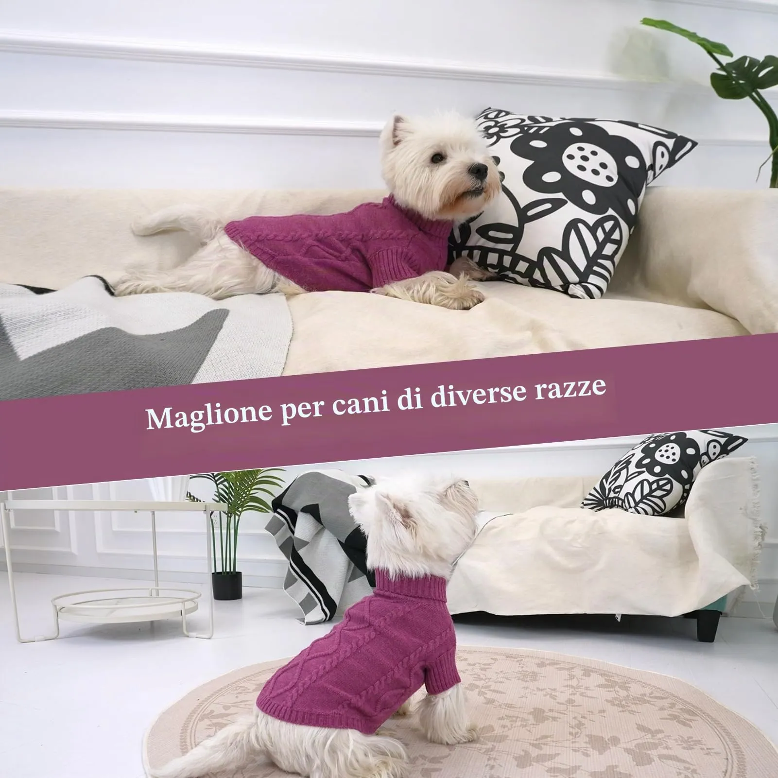 Queenmore Maglioncino per Cani Collo Alto a Treccia, Taglia XL, Prugna - immagine 6