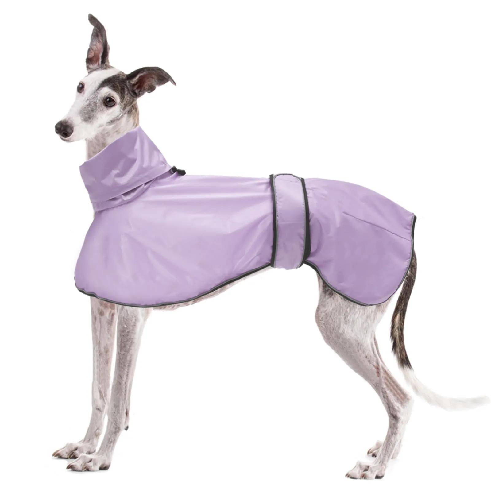 Geyecete Giacca Impermeabile per Cane, Regolabile e Leggera con Cinghie Riflettenti e Foro Pettorina, per Levrieri, Lurcher e Whippet, Viola, L - immagine 1