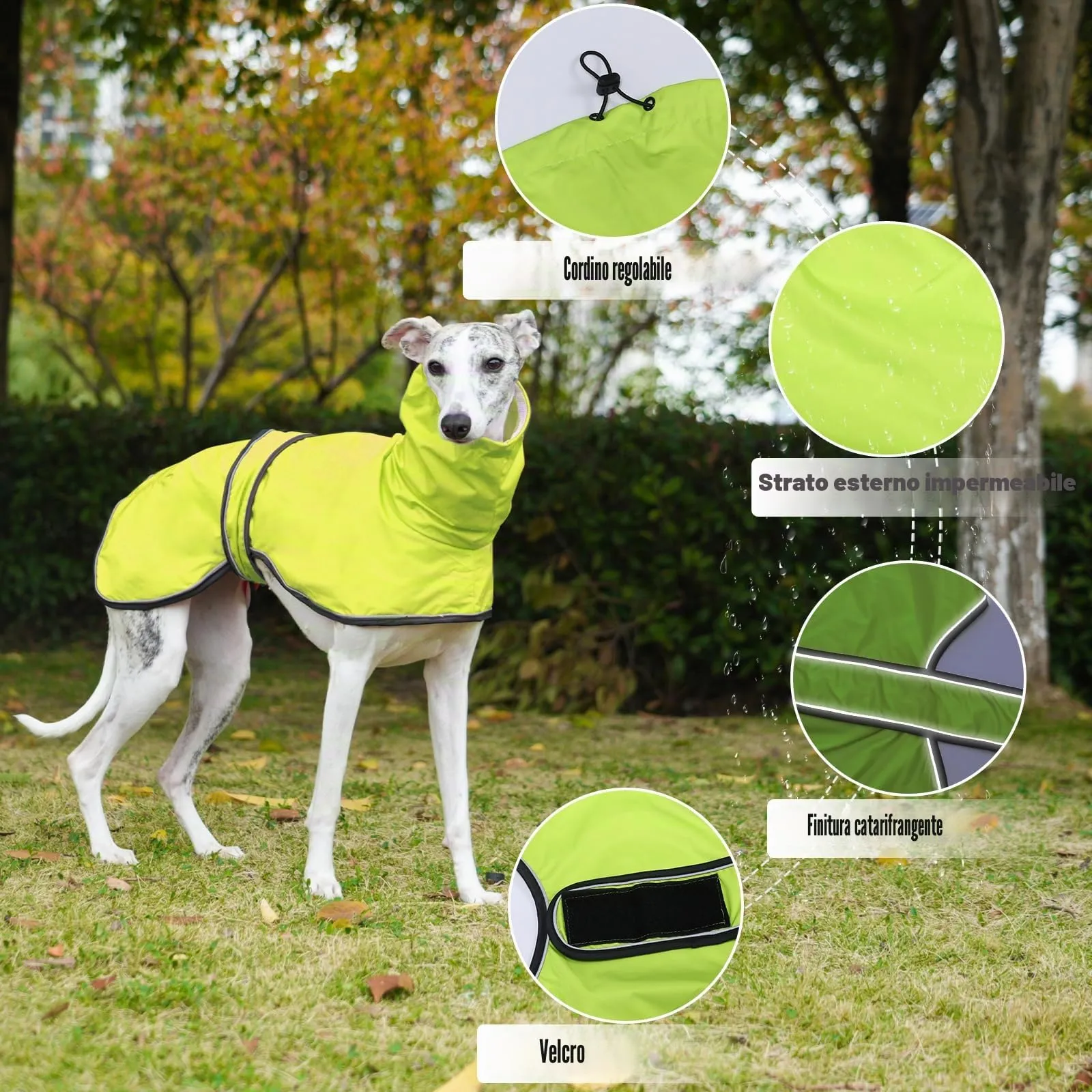 Geyecete Giacca Impermeabile per Cane, Regolabile e Leggera con Cinghie Riflettenti e Foro Pettorina per Levrieri, Lurcher e Whippets, Verde, XL - immagine 2
