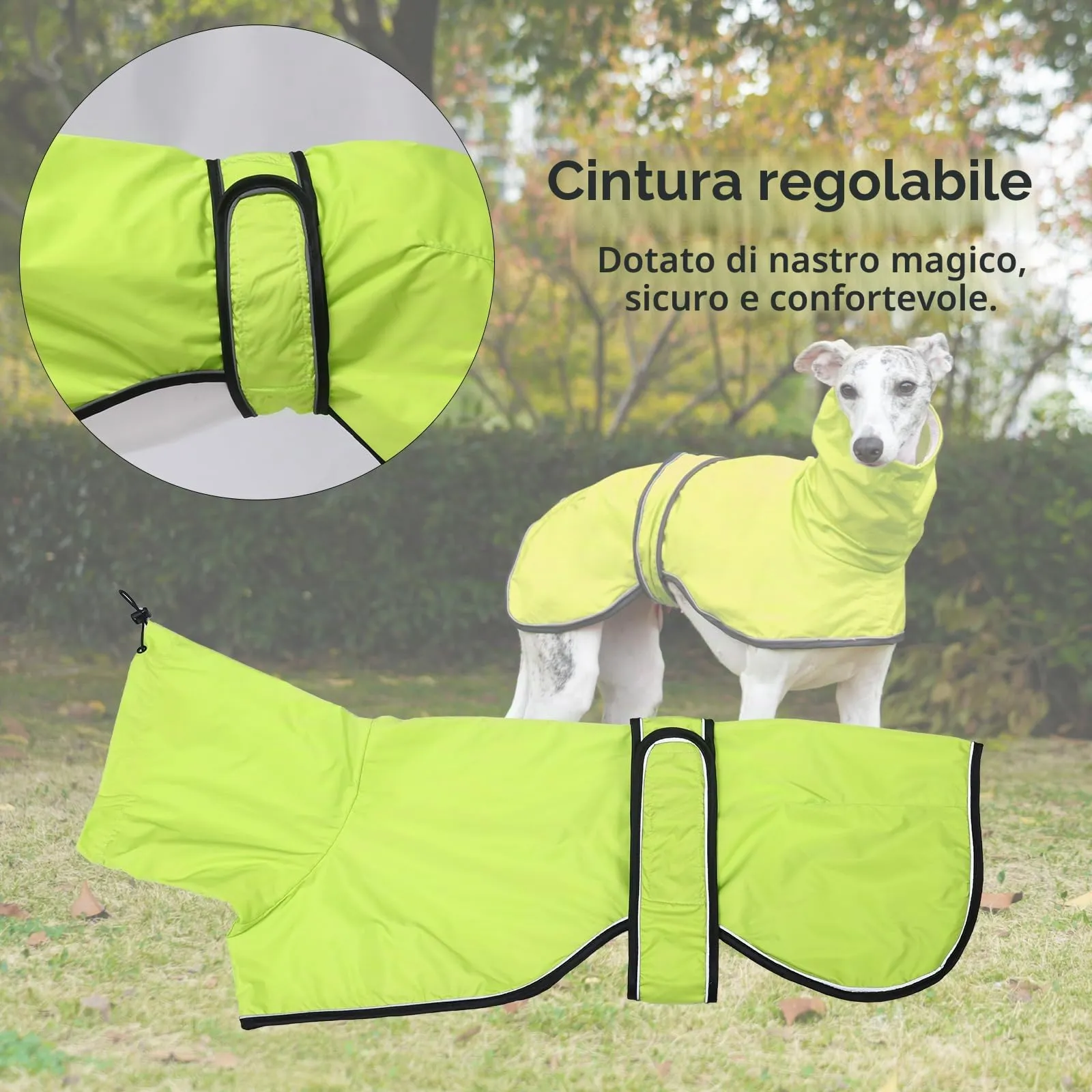 Geyecete Giacca Impermeabile per Cane, Regolabile e Leggera con Cinghie Riflettenti e Foro Pettorina per Levrieri, Lurcher e Whippets, Verde, XL - immagine 3