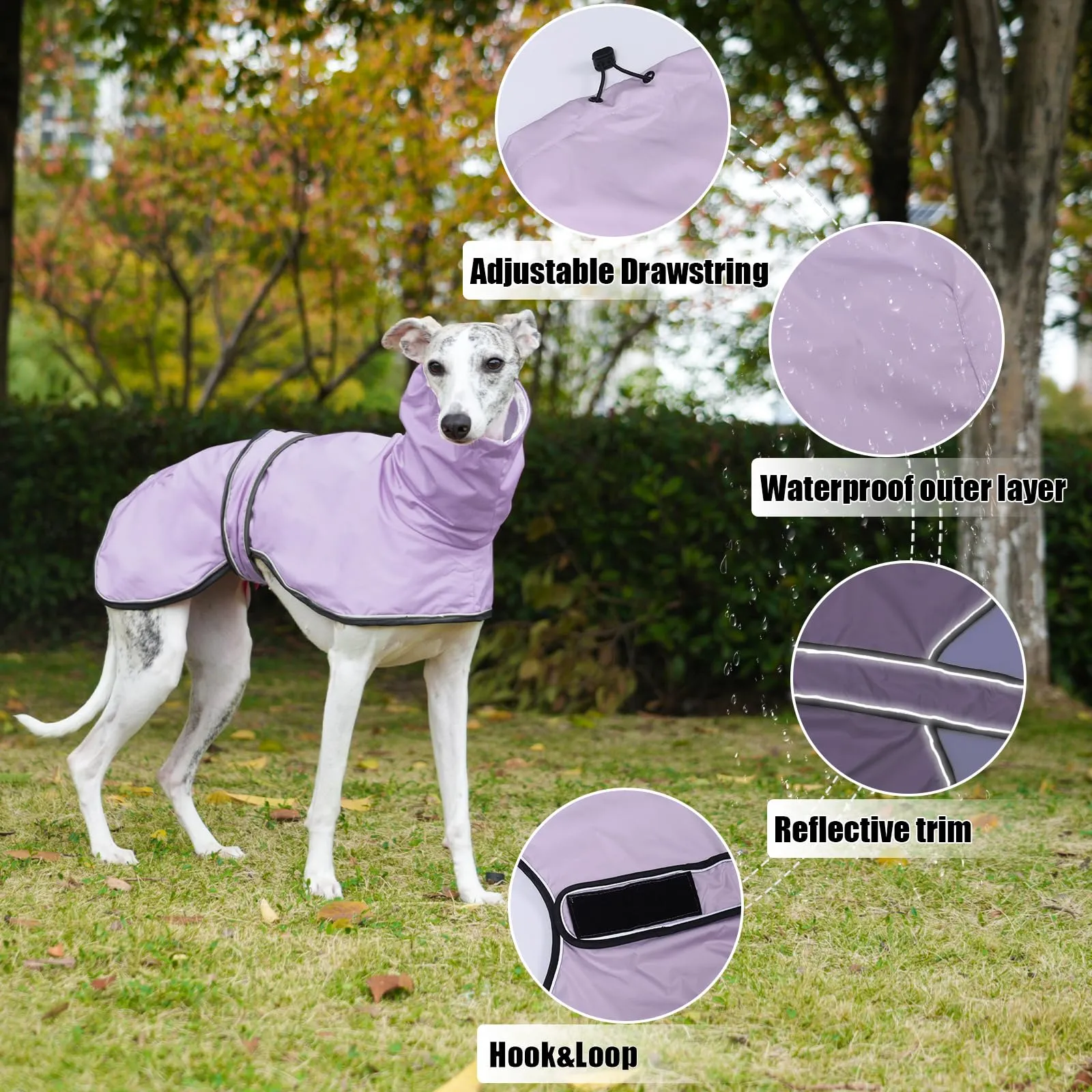 Geyecete Giacca Impermeabile per Cane, Regolabile e Leggera con Cinghie Riflettenti e Foro Pettorina, per Levrieri, Lurcher e Whippet, Viola, S - immagine 2