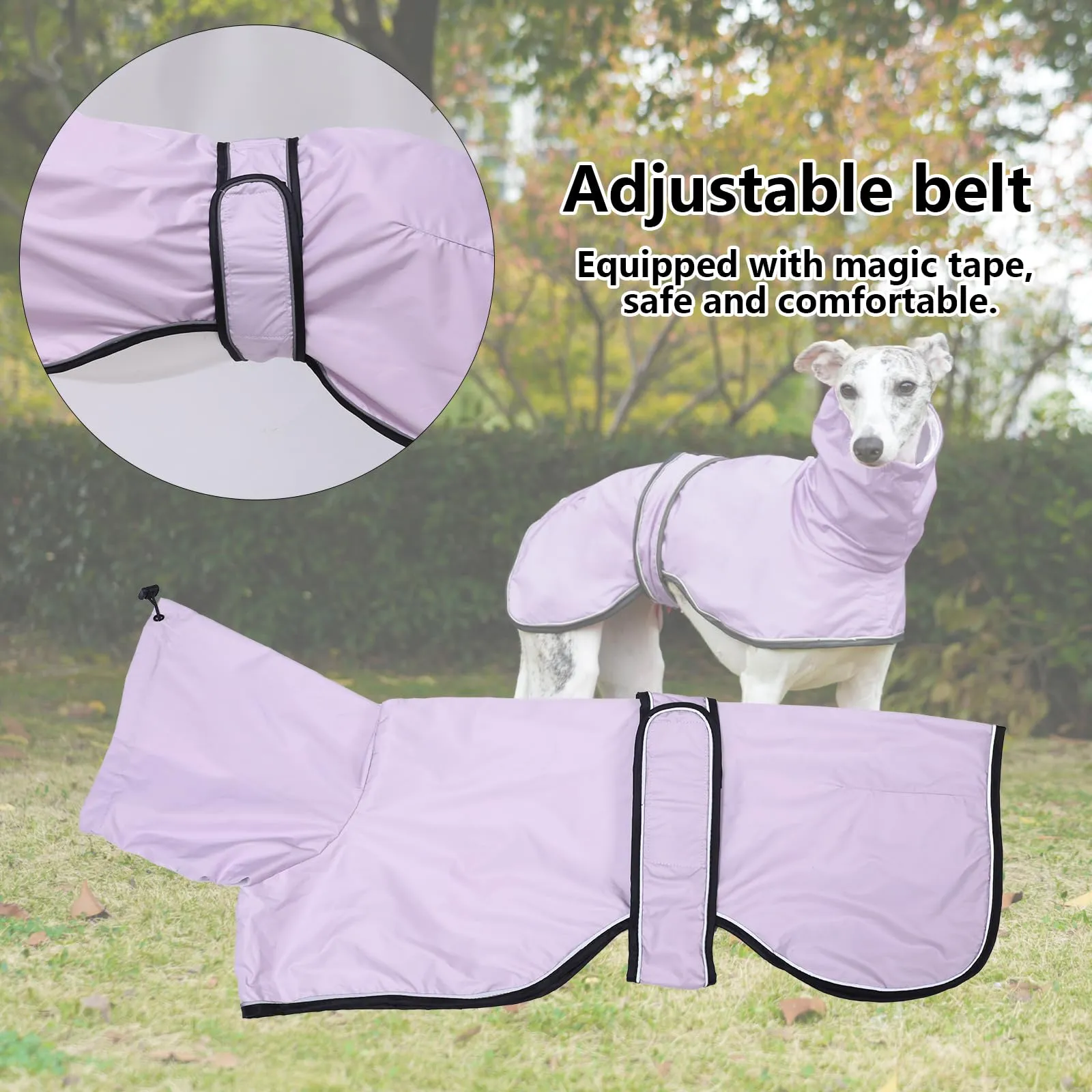Geyecete Giacca Impermeabile per Cane, Regolabile e Leggera con Cinghie Riflettenti e Foro Pettorina, per Levrieri, Lurcher e Whippet, Viola, S - immagine 3