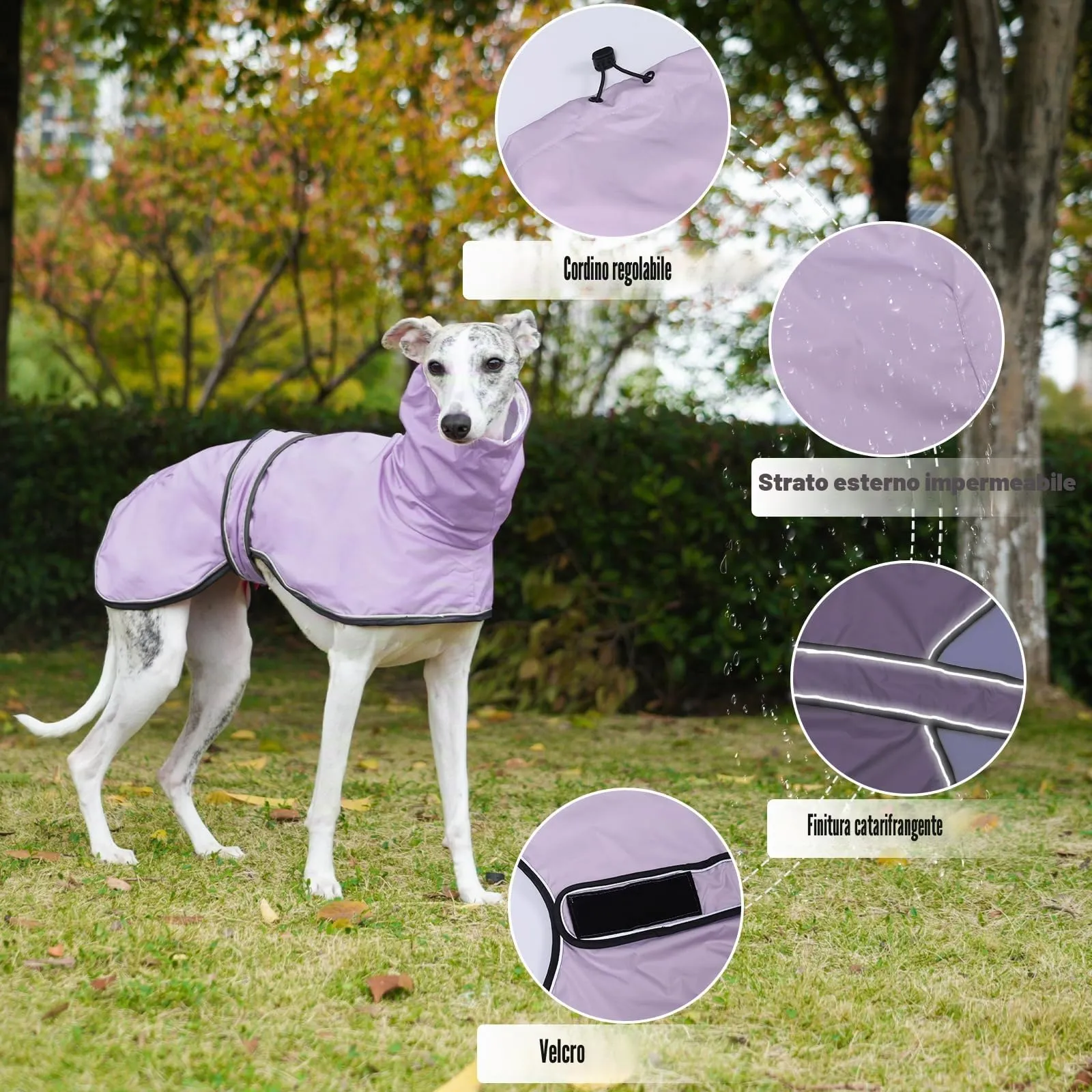 Geyecete Giacca Impermeabile per Cane, Regolabile e Leggera con Cinghie Riflettenti e Foro Pettorina, per Levrieri, Lurcher e Whippet, Viola, M - immagine 2