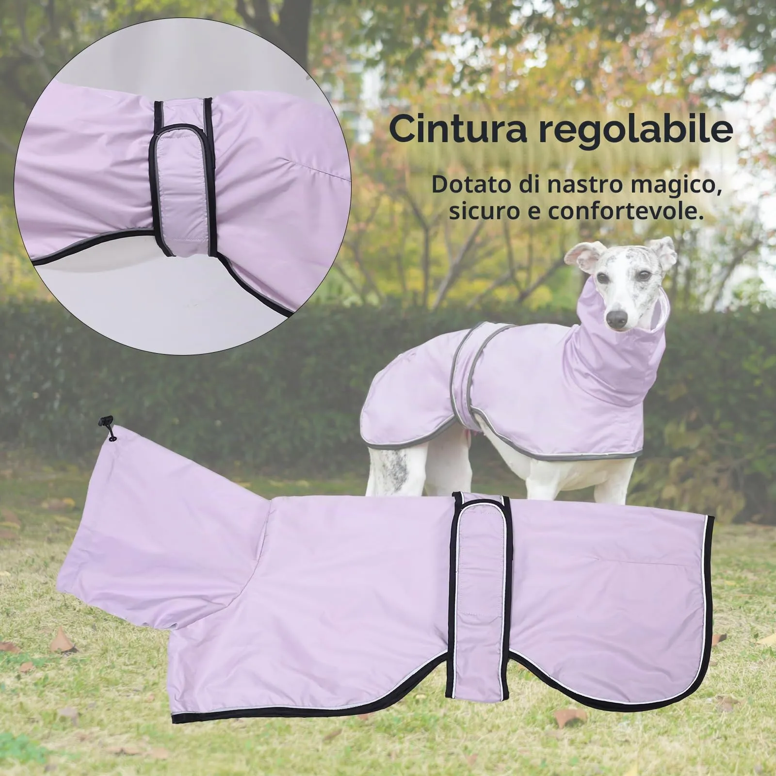 Geyecete Giacca Impermeabile per Cane, Regolabile e Leggera con Cinghie Riflettenti e Foro Pettorina, per Levrieri, Lurcher e Whippet, Viola, M - immagine 3