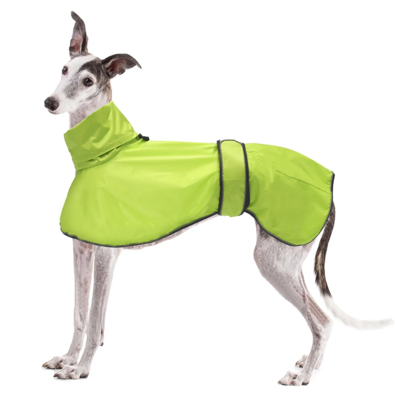 Geyecete Giacca Impermeabile per Cane, Regolabile e Leggera con Cinghie Riflettenti e Foro Pettorina per Levrieri, Lurcher e Whippet, Verde, M - immagine 1