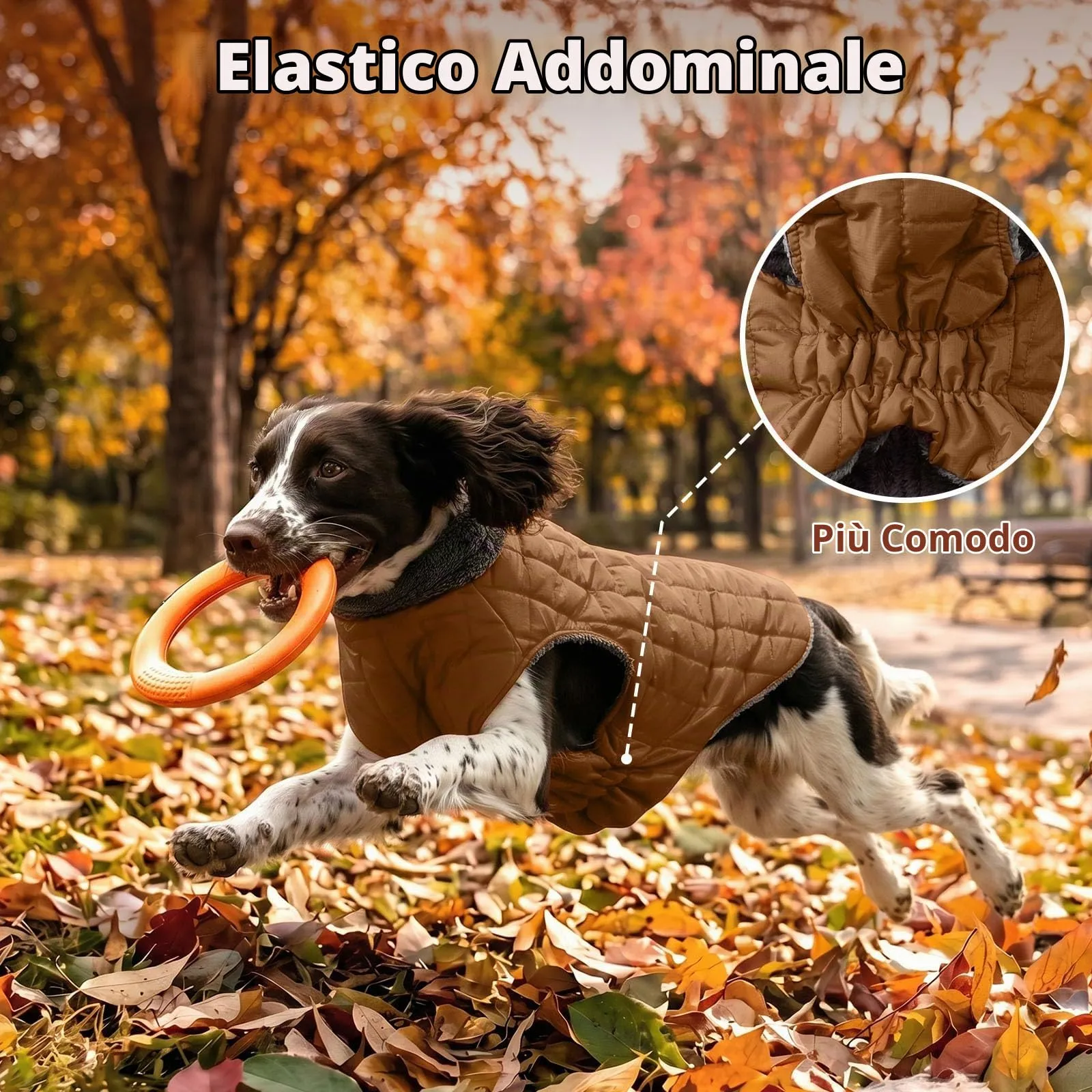 JoyDaog Cappotto in Pile Impermeabile per Cani di Piccola Taglia con Imbracatura e Anello a D, Kaki Brunito - immagine 7