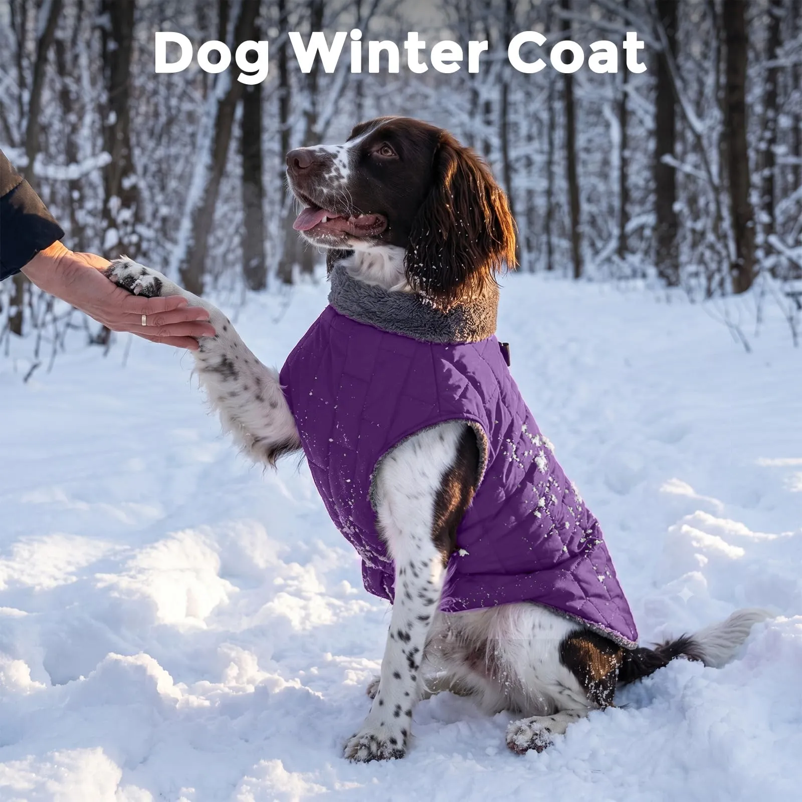 JoyDaog Cappottino in pile impermeabile con imbracatura e anello a D per cani di taglia media, Viola, XL - immagine 2