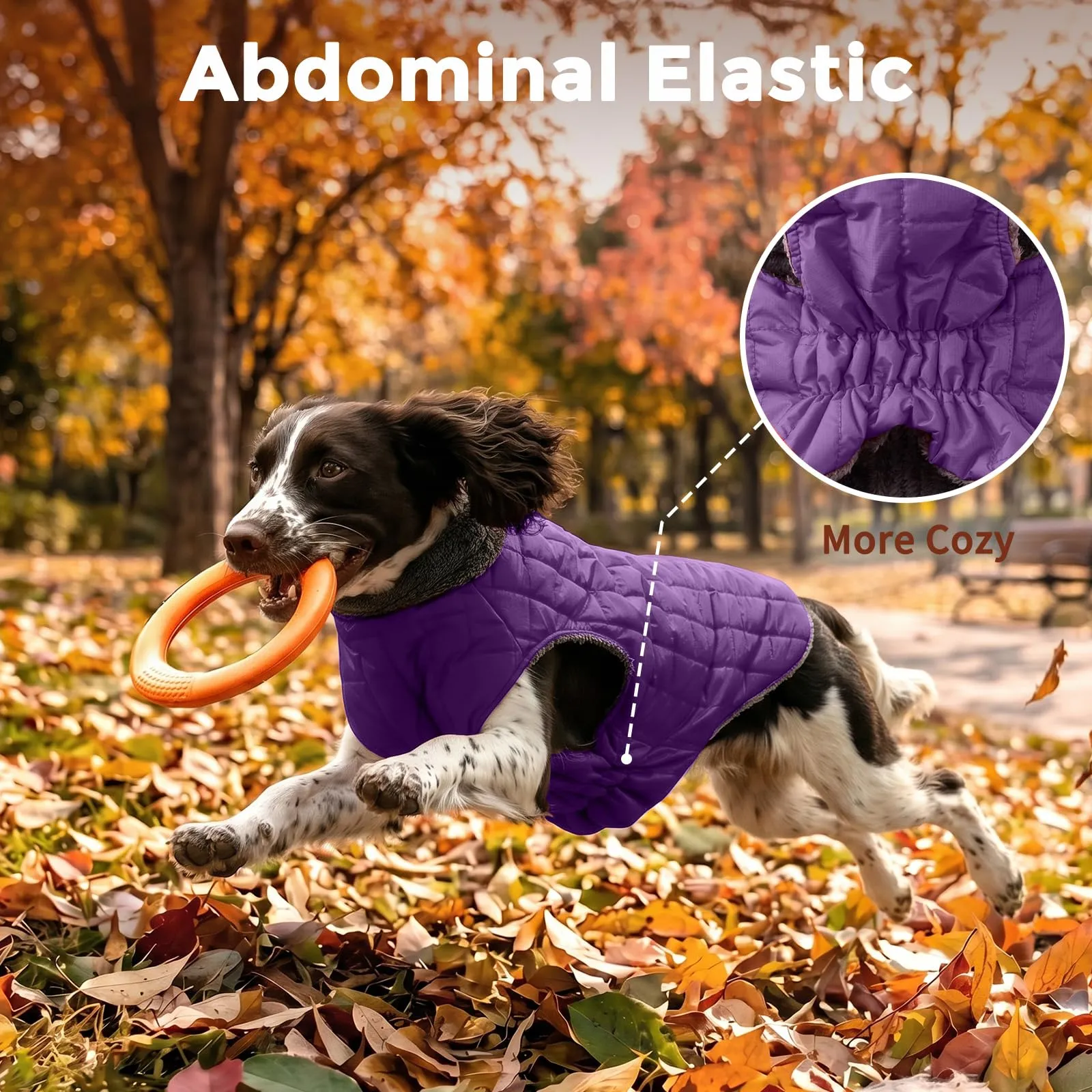 JoyDaog Cappottino in pile impermeabile con imbracatura e anello a D per cani di taglia media, Viola, XL - immagine 7