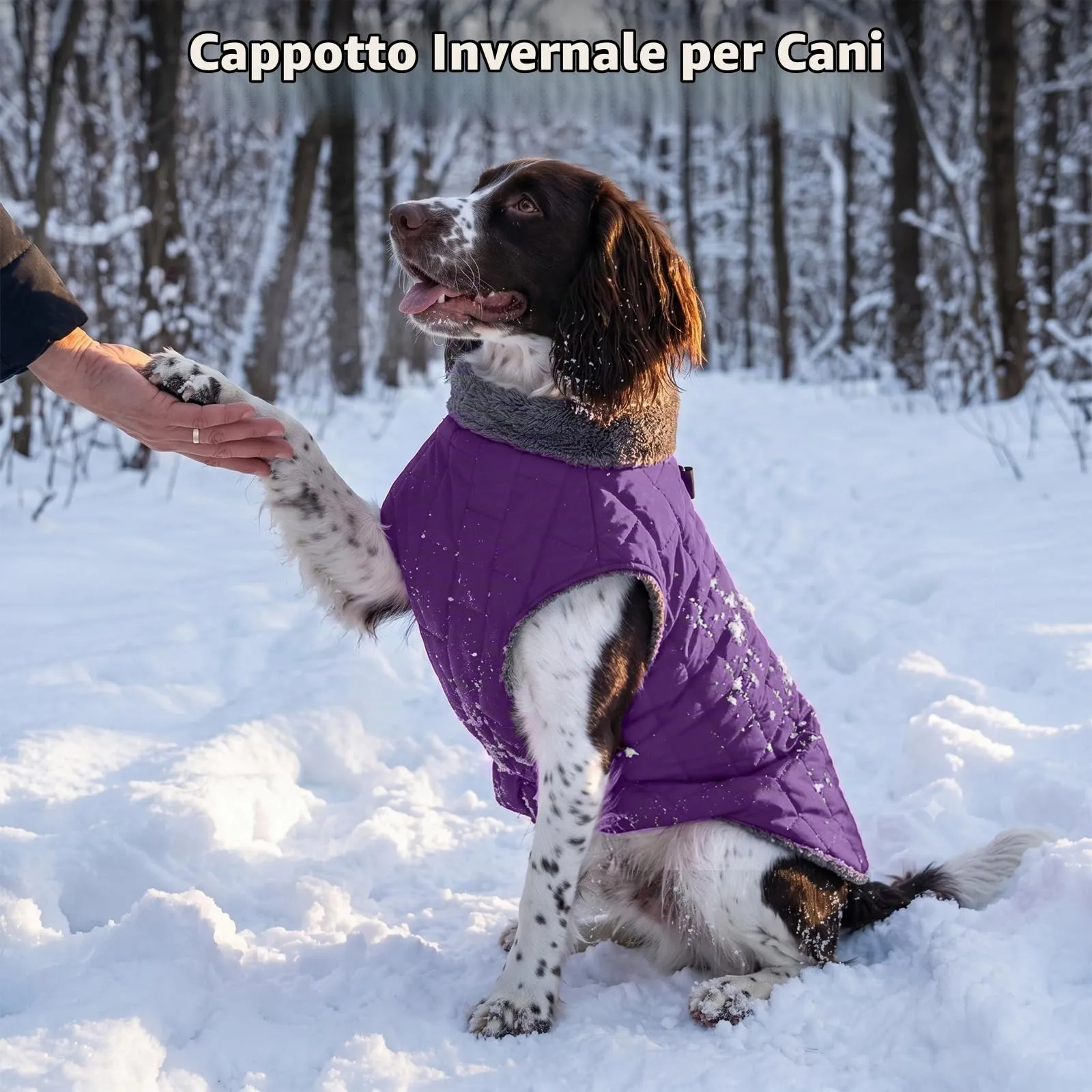 JoyDaog Cappottino in pile impermeabile per cani con imbracatura integrata, Viola, XS - immagine 2